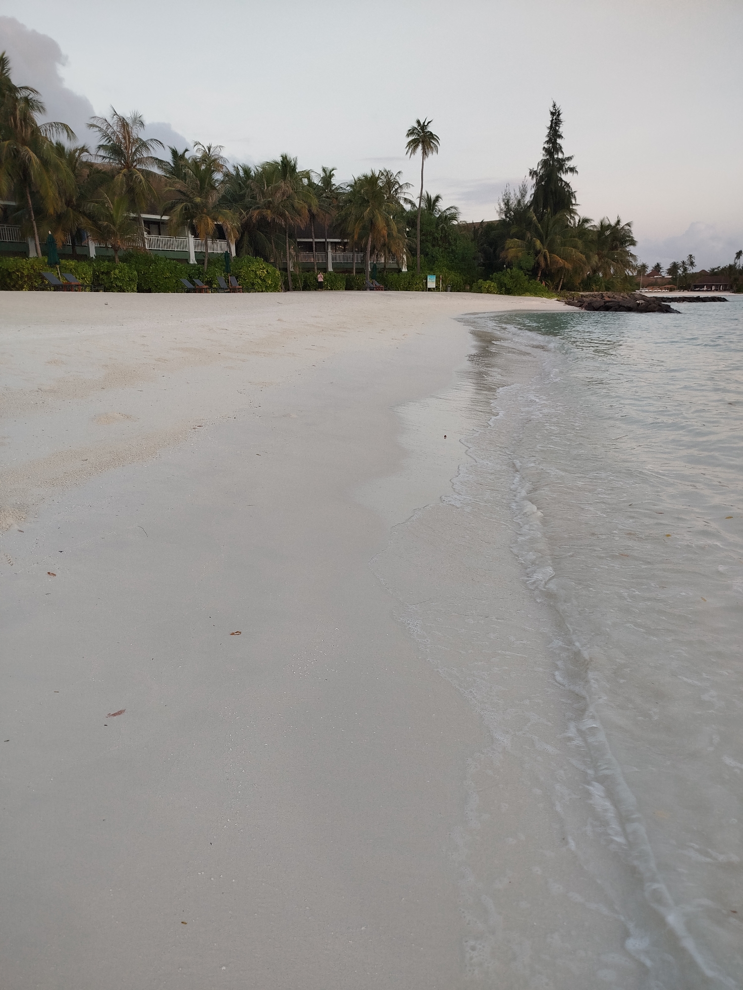 The image depicts a tranquil beach scene in the city of Malé, Maldives. The foreground is dominated by a wide expanse of fine white sand, with gentle waves of clear, shallow water lapping at the shore. The water exhibits subtle ripples and foam as it recedes, highlighting the texture of the wet sand. A few scattered dried leaves and small pieces of debris are visible on the sand. In the middle ground, lush green vegetation and numerous palm trees line the edge of the beach, partially obscuring a resort building with a white railing. Lounging chairs are visible under some of the palm trees. Further in the distance, a cluster of buildings with thatched roofs can be seen, suggesting a larger resort or residential area. The sky is overcast with muted gray clouds, indicating either early morning or late evening. The overall atmosphere is serene and peaceful.