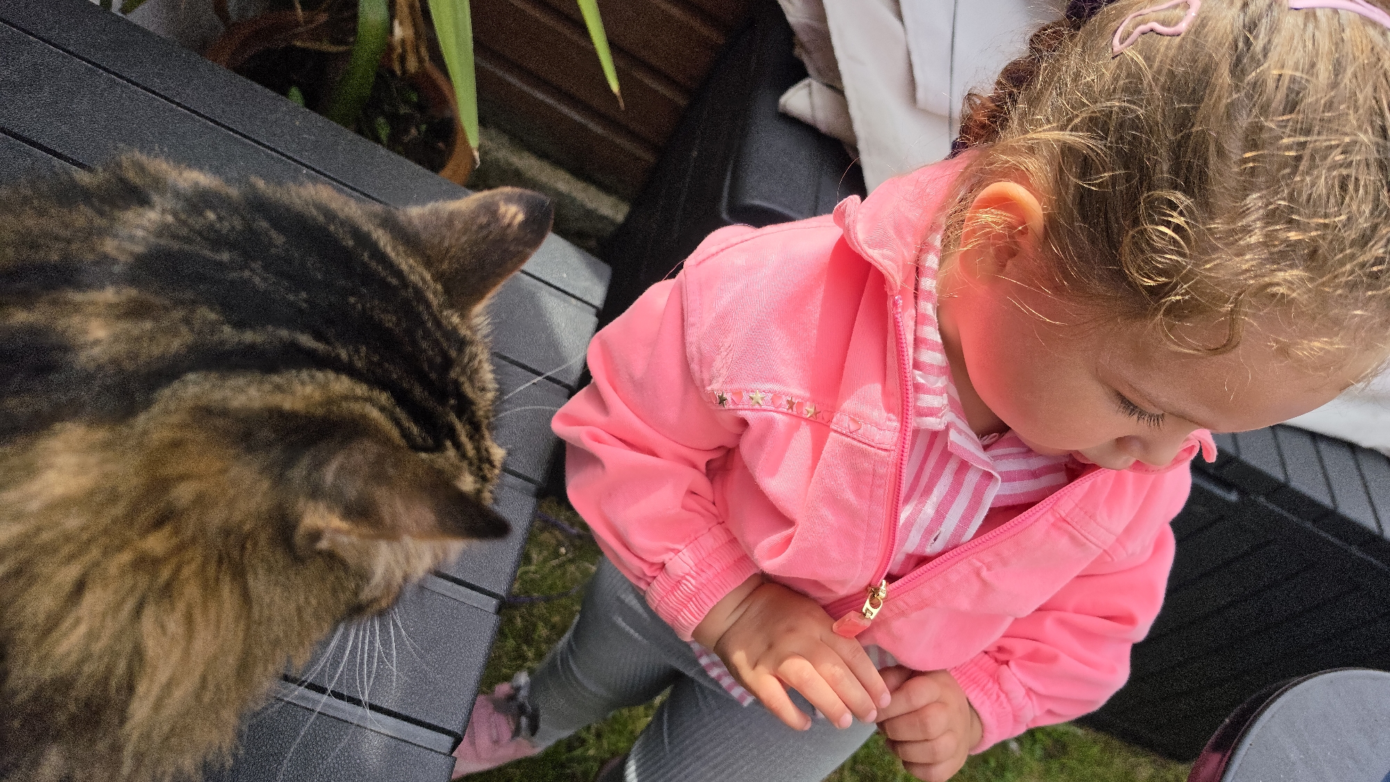 A young child wearing a pink jacket and grey pants stands on a dark plastic table. A brown and black tabby cat is next to the child. The photo is taken from an elevated, top-down perspective outdoors. Other dark plastic tables and foliage are visible in the background. The location is not discernible.