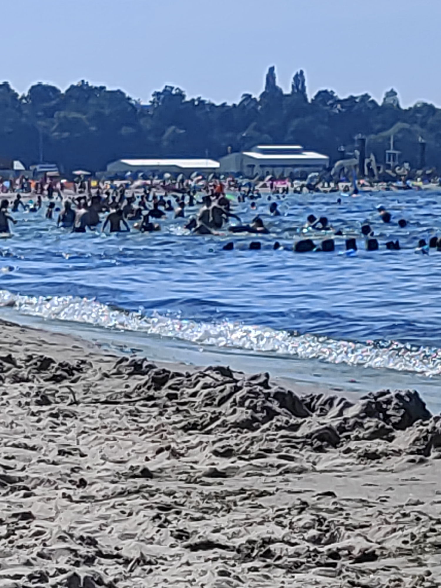 This media file depicts a crowded beach scene on a sunny day, likely in the afternoon, given the bright lighting. The foreground is dominated by sand, with some rocky or driftwood elements visible closer to the water's edge. The main subject of the image is the bustling activity in the water. Numerous people are swimming, wading, and enjoying the ocean.
In the midground, the water is filled with individuals of varying ages, many of whom are partially submerged, with their heads and shoulders visible. Some are clustered together, while others appear to be swimming or playing independently. A series of dark, rectangular buoys or markers are visible in the water, suggesting a designated swimming area or a barrier.
The background reveals a tree line bordering a developed area, with buildings that appear to be part of a beach resort or recreational facility. These structures have light-colored roofs and walls, with some architectural elements like what looks like a tower or slide structure on the right. The sky is a clear, light blue, indicating fair weather. The overall impression is one of a lively and popular summer destination, with a high volume of people engaging in recreational activities. No text is visible in the media file. The location is Pionersky, Russia.