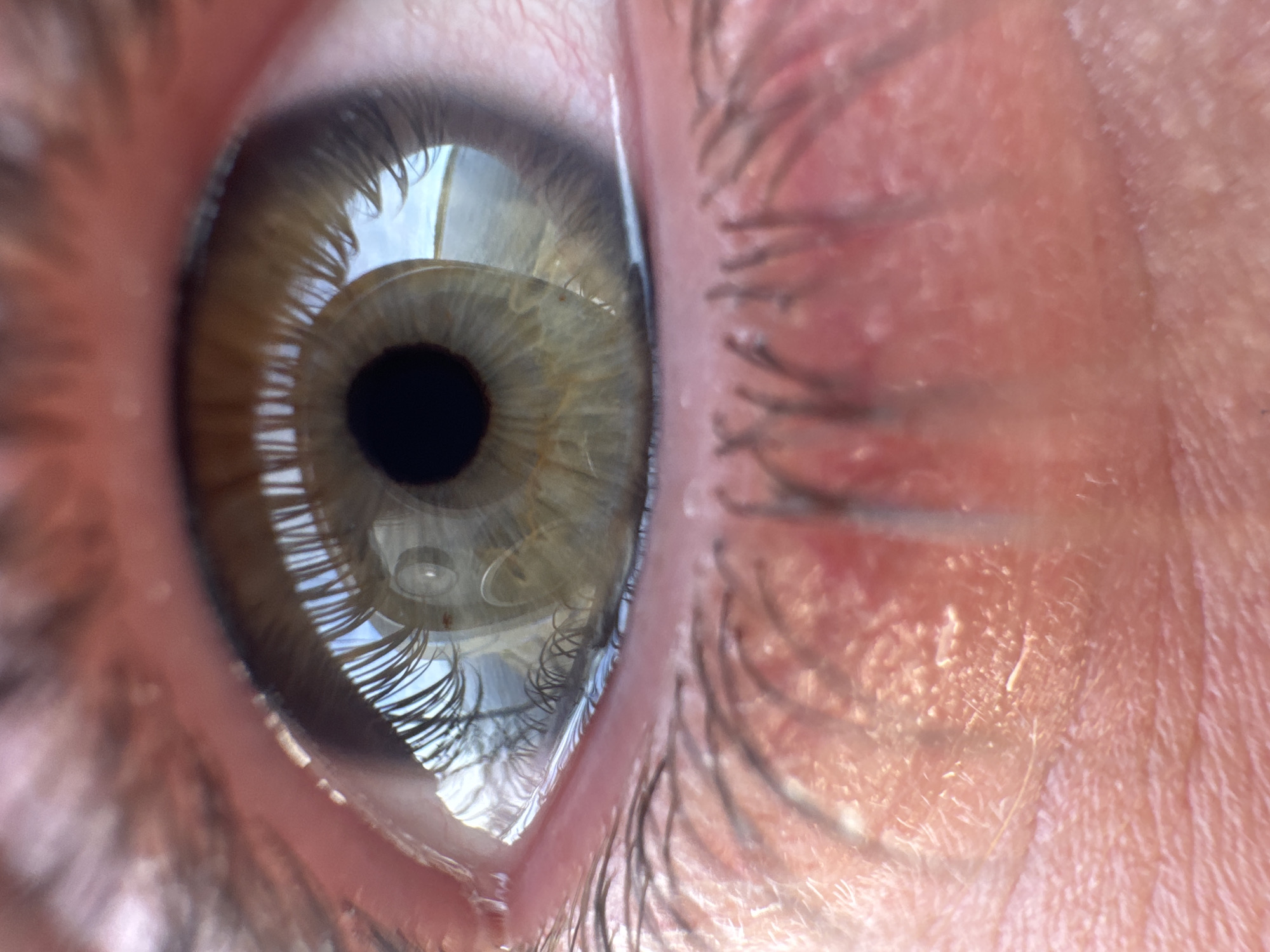 A close-up photograph captures a human eye with an iris exhibiting a hazel or light brown coloration. The pupil is black and round. Reflections within the eye suggest an interior setting with elements of light, possibly from windows or artificial sources. Eyelashes are visible, some reflecting in the eye's surface. The surrounding skin appears to have visible pores and some texture. The context of Ivanovo (Timiryazevskii S/S), Russia, is not readily discernible from the visual elements in the image. No people, specific objects, actions, or interactions are directly observable other than the static depiction of the eye itself.