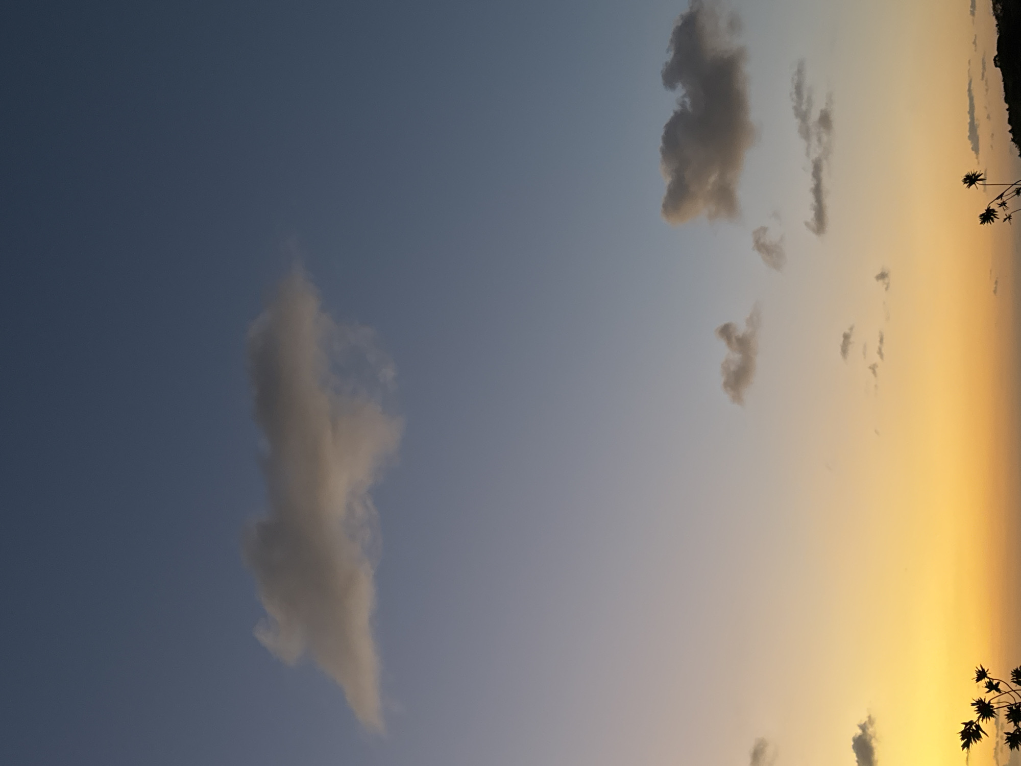 The original image, if correctly oriented, depicts a serene sunset sky. The sky transitions horizontally from a cool, dusky blue on the left to a warm, vibrant orange and yellow on the right. Several clouds are scattered across the sky; some are fluffy and white, while others are darker grey, illuminated by the setting sun. In the bottom right corner, silhouetted against the bright orange sky, are palm-like plants or trees, suggesting a tropical or natural setting. The overall scene conveys a tranquil evening atmosphere. There are no people or visible text. The time of day is clearly sunset or late dusk due to the distinct color gradient of the sky.