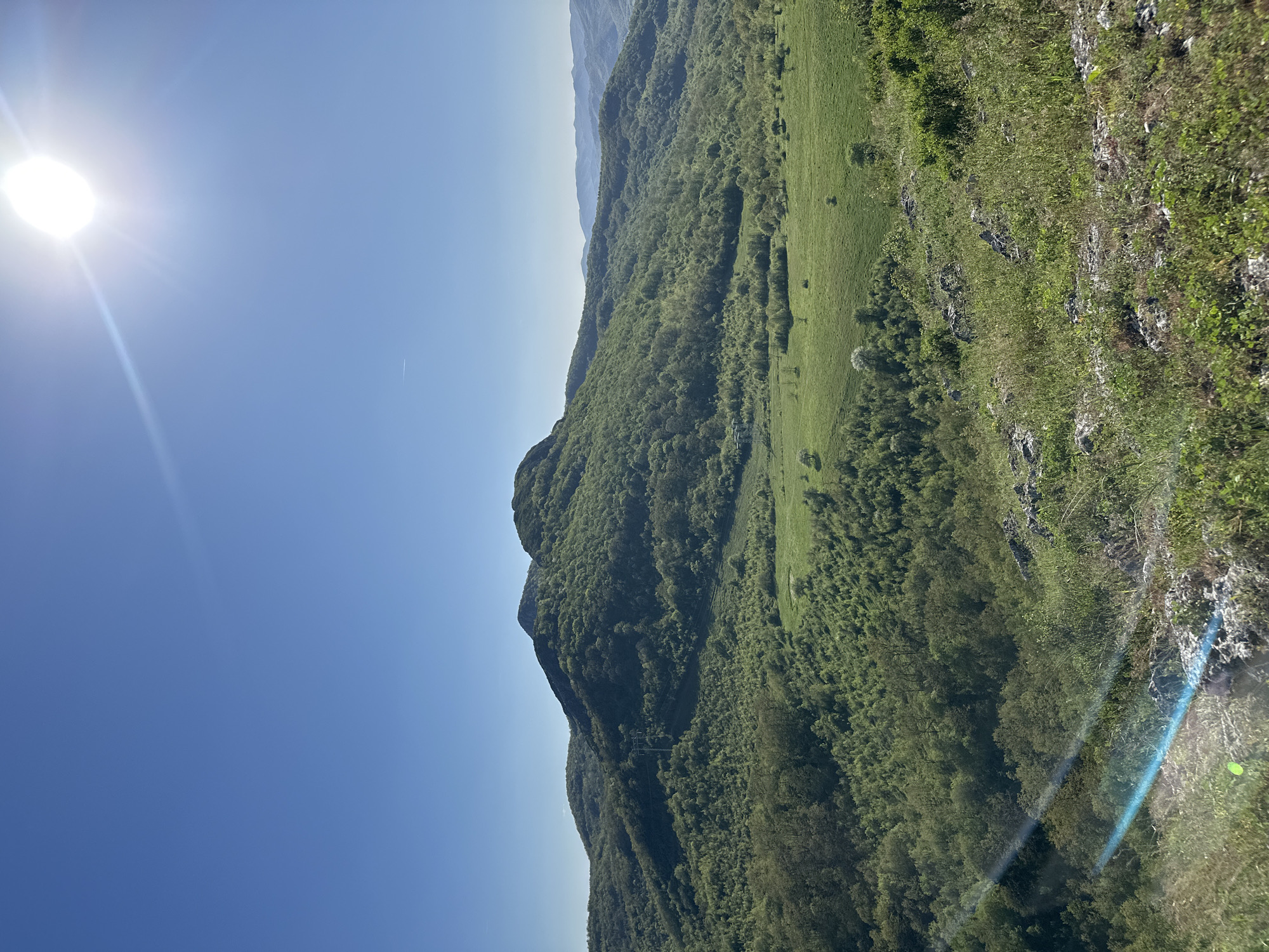 The image shows a landscape in Sneja, Bulgaria. A bright sun shines in a clear blue sky. The foreground features a steep, grassy hillside that transitions into a dense forest covering the slopes of a mountain range. In the middle distance, there's a green field with scattered trees. The forest extends further into the background, with a distant mountain range visible on the horizon.