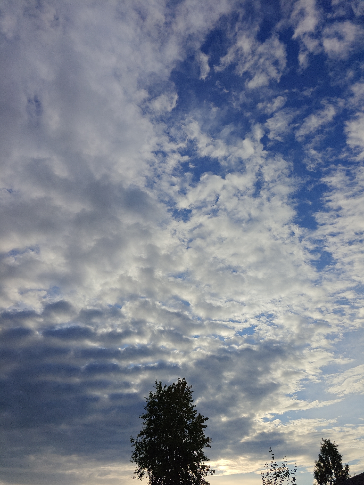 The image shows a cloudy sky over a landscape. In the foreground, the tops of several trees are visible, silhouetted against the sky. The sky is filled with a variety of clouds, ranging from thin, wispy cirrus clouds to larger, darker cumulus clouds. The blue of the sky is visible in patches between the clouds. The lighting suggests it is either early morning or late afternoon, with the sun low on the horizon. The image does not contain any people or specific urban features, making it difficult to pinpoint a precise urban location. Therefore, the location in the city of Русский Вожой, Russia, cannot be definitively determined from the visual information provided.