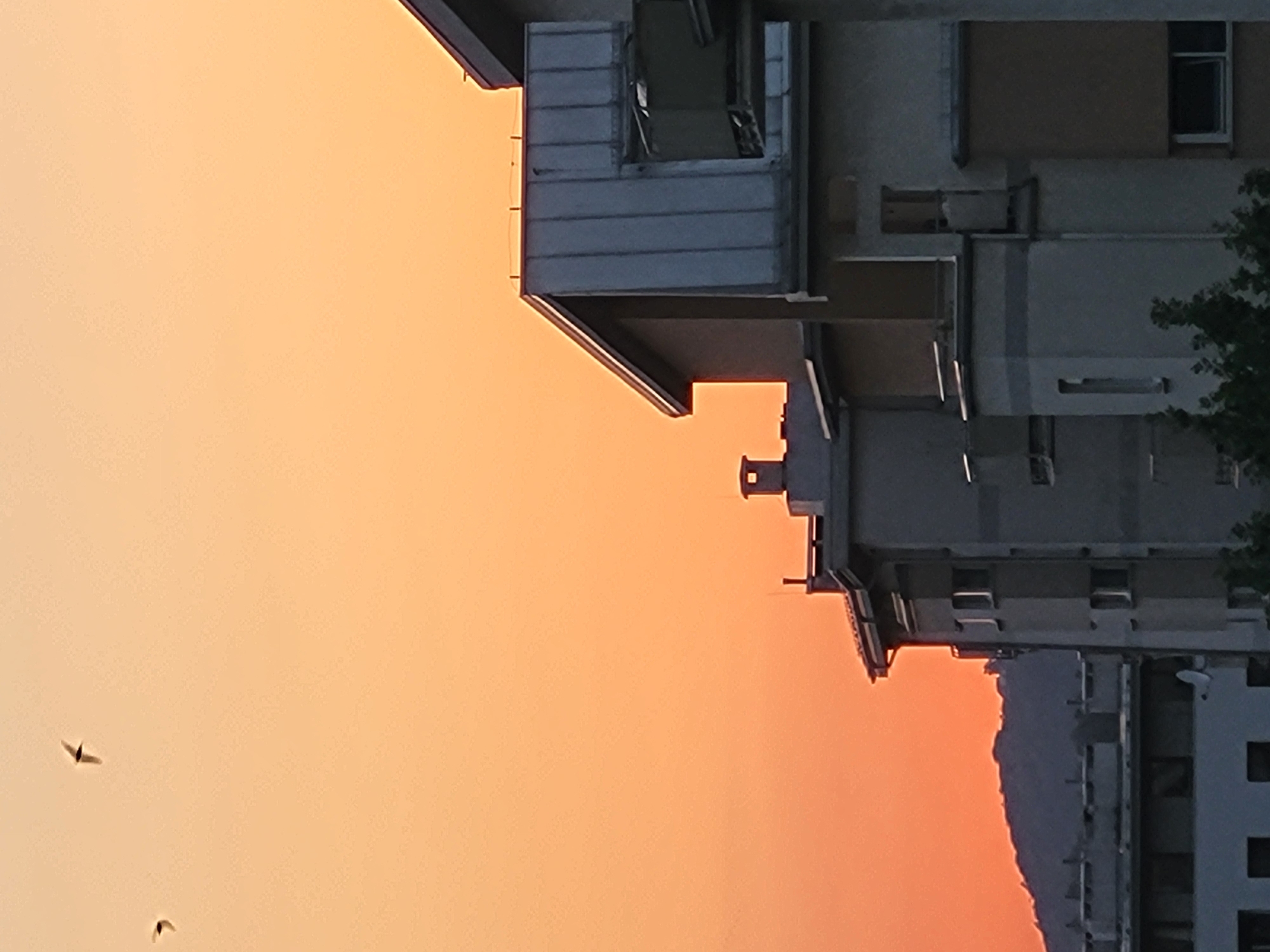 This is a close-up, vertical photograph of a building against a warm, gradient sky, transitioning from a light orange to a deeper coral hue. The sky suggests a sunset or sunrise. The building itself is a multi-story structure with a complex, modular design, featuring numerous balconies, windows, and varying architectural elements. Some sections appear weathered, while others are modern. The lighting indicates it is either early morning or late evening. Two birds are visible in the sky, silhouetted against the bright background, appearing to be in flight. The image has a somewhat abstract quality due to the extreme angle and the focus on architectural details against the soft sky. There are no visible people or text.