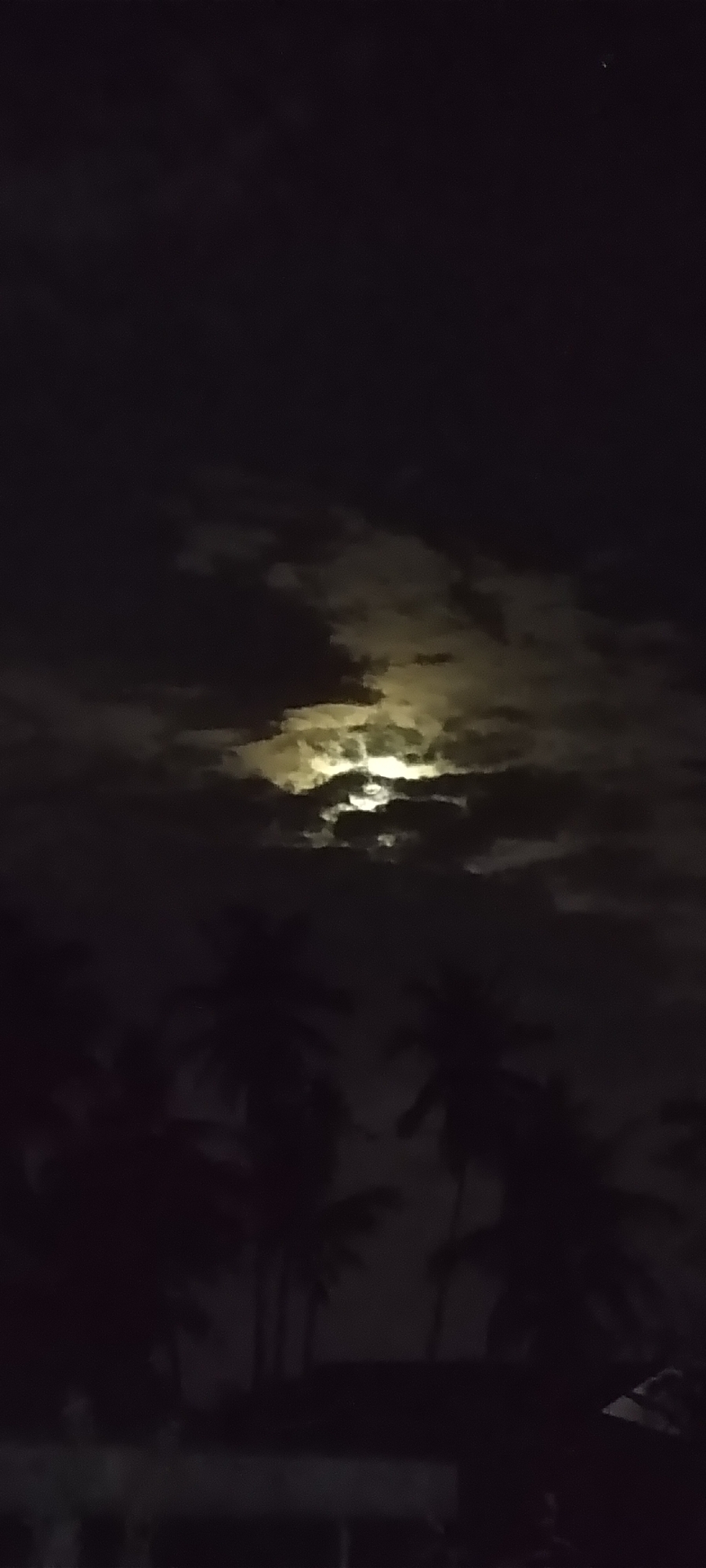 At night in an unknown location, the sky is dark and overcast, with a bright light shining through the clouds. The light is yellow, and illuminates the clouds around it. In the foreground, there are several silhouettes of palm trees. Below the trees, there is a dark, blurry area that may be a building.