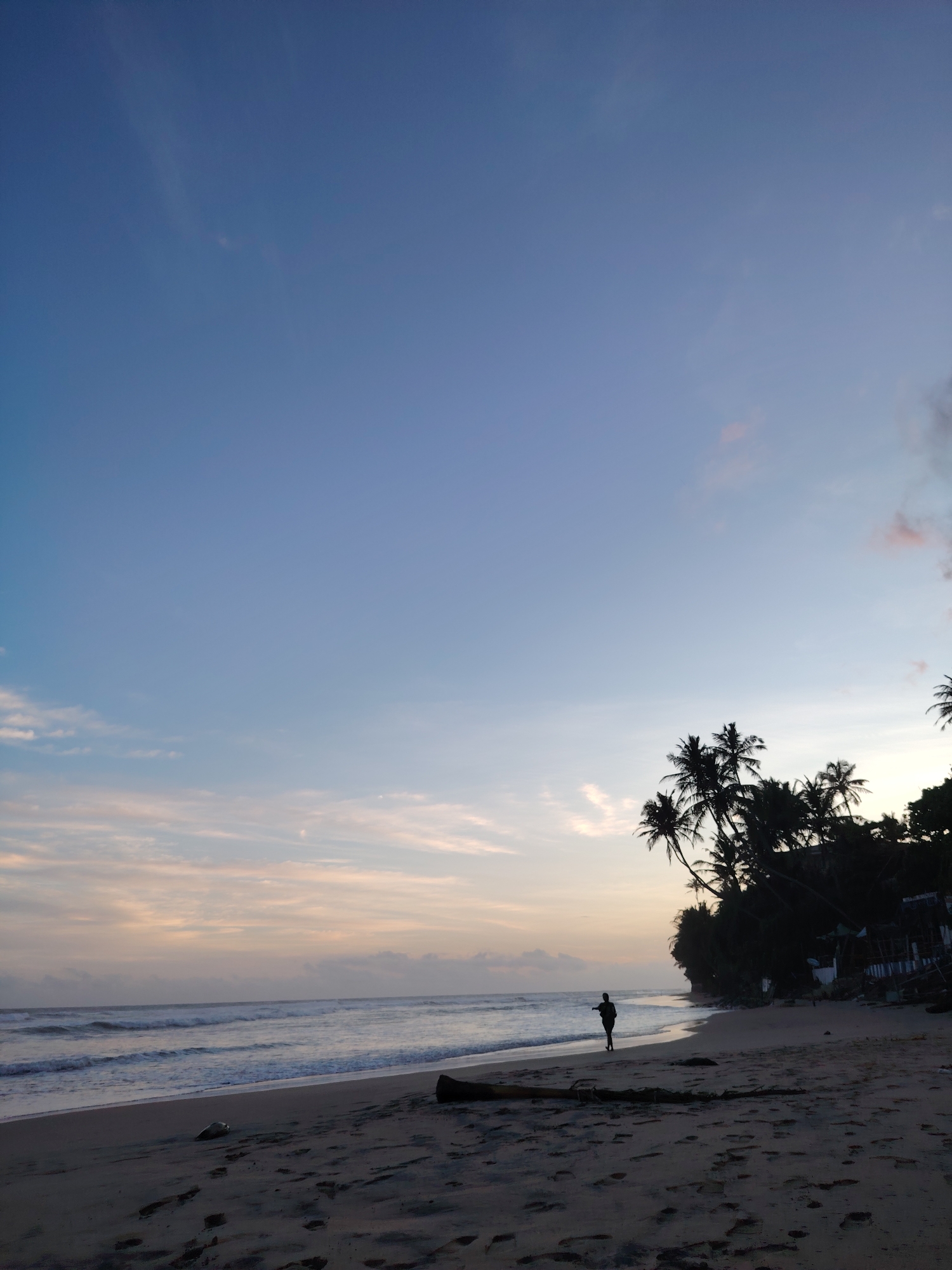 A silhouette of a person stands on a sandy beach, facing the ocean. The person is located on the left side of the frame, near the water's edge. The ocean is calm with gentle waves. Palm trees and other vegetation line the shore on the right side of the image, forming a dense canopy. The sky is a gradient of blue and pale orange, suggesting it is either dawn or dusk. Footprints are visible in the sand, indicating recent activity. A piece of driftwood lies on the beach in the foreground. The scene appears to be a tranquil coastal environment.