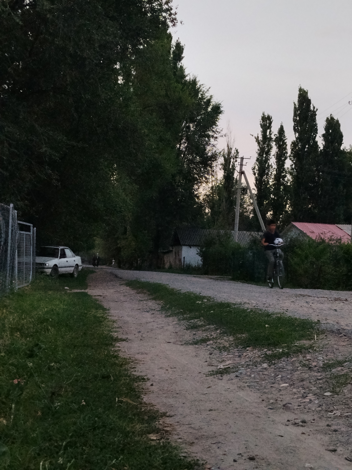 In Djany-Pahta, Kyrgyzstan, a dimly lit, unpaved road stretches into the distance, flanked by lush green grass on the left and a dense cluster of trees on the right. A white sedan is parked on the grass near a chain-link fence on the left side of the road. Further down the road, a person rides a bicycle, carrying a white object, possibly a helmet, on the handlebars. Behind them, a few houses with corrugated metal roofs are visible. Tall, slender trees and power lines punctuate the horizon under a pale, overcast sky.