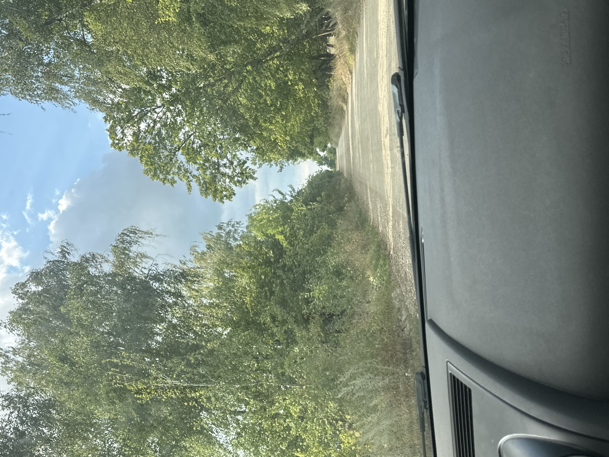 The image shows a view from inside a vehicle, looking out at a dirt road lined with lush green trees on both sides. The road extends into the distance, curving slightly to the right. The sky is a mix of blue with scattered white clouds. The foreground shows a portion of the car's dashboard, including the windshield wipers. The scene appears to be in a rural or semi-rural area. The location is Tynna, Ukraine.