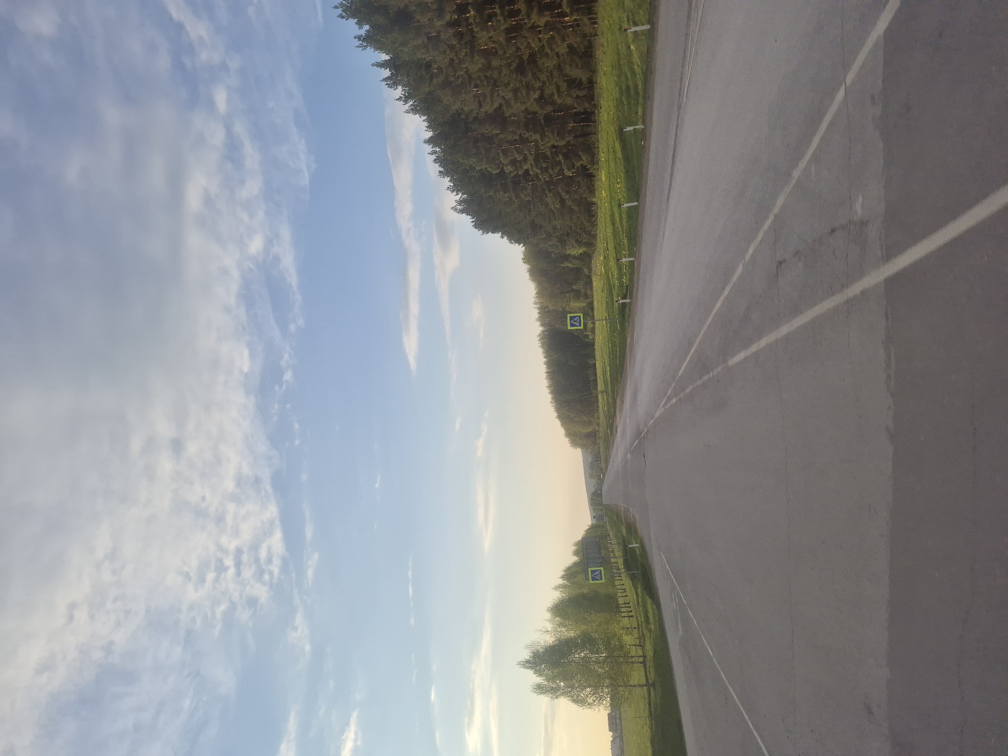 A horizontal outdoor shot presents a road running from foreground to distance. To the left of the road is a view of the sky with white clouds. The road surface is dark gray, and painted white lines divide the lanes. A forest lines the right side of the road. Pedestrian crossing signs are sporadically placed along the roadside. The image captures a tranquil landscape with a naturalistic environment. This location is in the city of Arkhangel'skoe, Russia.