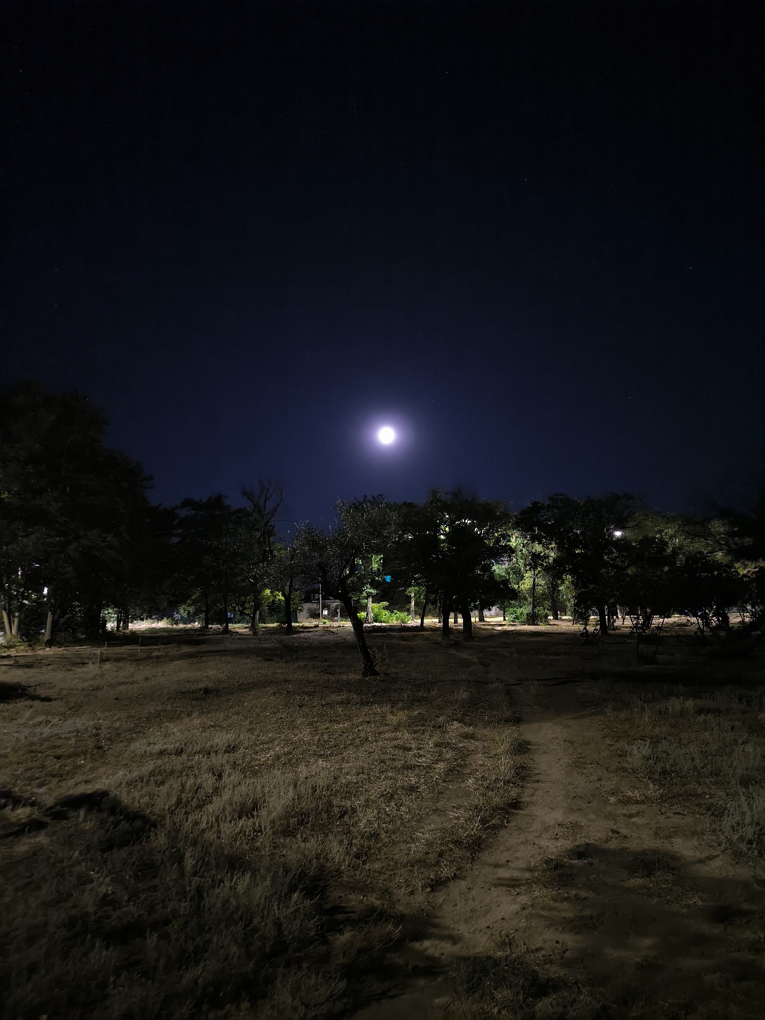 The image depicts a nighttime scene with a full moon illuminating a landscape. A dirt path cuts through dry, tall grass, leading towards a line of trees. The trees are silhouetted against the dark sky, with some appearing to be lit by artificial lights, possibly from nearby buildings. A few stars are visible in the night sky. The overall impression is of a rural or park-like setting at night. The location in Mykolaiv, Ukraine, is not evident from the visual information provided.