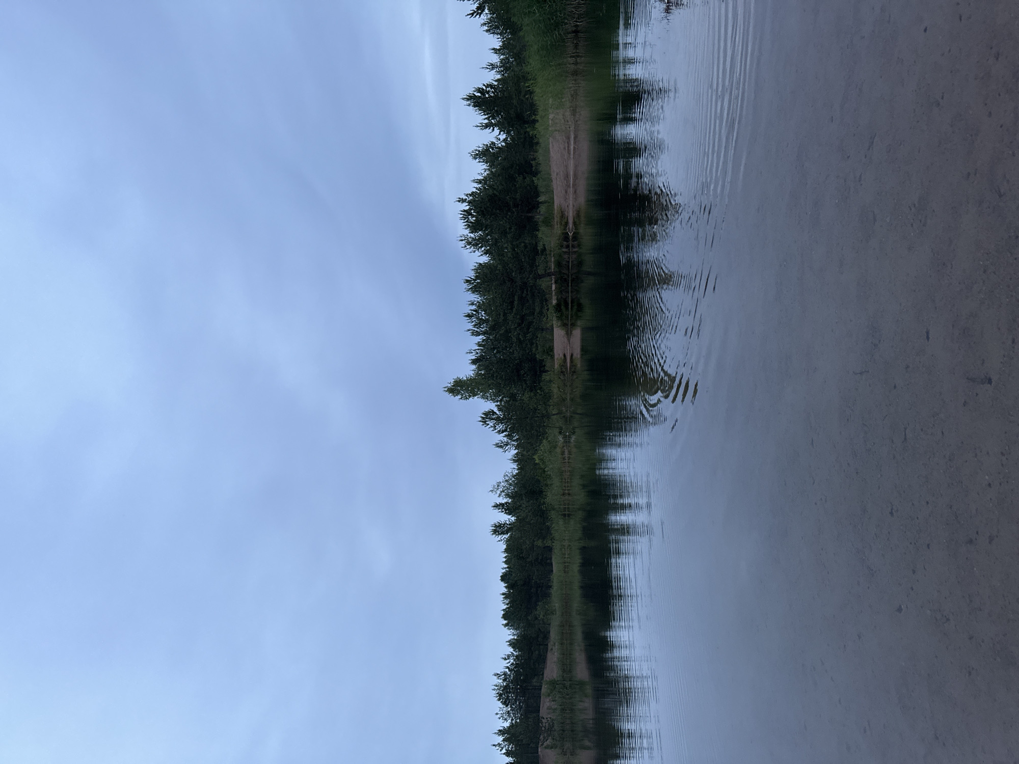 This is a landscape photograph taken from the perspective of someone standing on the sandy shore of a body of water. The image is oriented vertically, as if the camera was held upright but the scene is viewed sideways. The left side of the frame is dominated by a vast, pale blue sky with subtle, wispy clouds. To the right, a dense line of dark green trees forms a natural border between the sky and the water. The trees appear to be pine or fir, with a thick canopy that extends to the water's edge.
The water itself occupies the right half of the frame and is remarkably still, reflecting the sky and the treeline with a slight distortion. Gentle ripples disturb the surface of the water, creating a pattern of light and shadow. The shore to the left of the water appears to be made of light-colored sand, with some scattered debris or vegetation.
The lighting suggests it is either early morning or late evening, as the sky is not brightly lit, and the overall atmosphere is calm and serene. There are no people or man-made objects visible in the image, making it a depiction of a natural, undeveloped landscape. The location is identified as Pobeda, Russia. The overall mood conveyed is one of tranquility and the untouched beauty of nature. There is no visible text in the image.