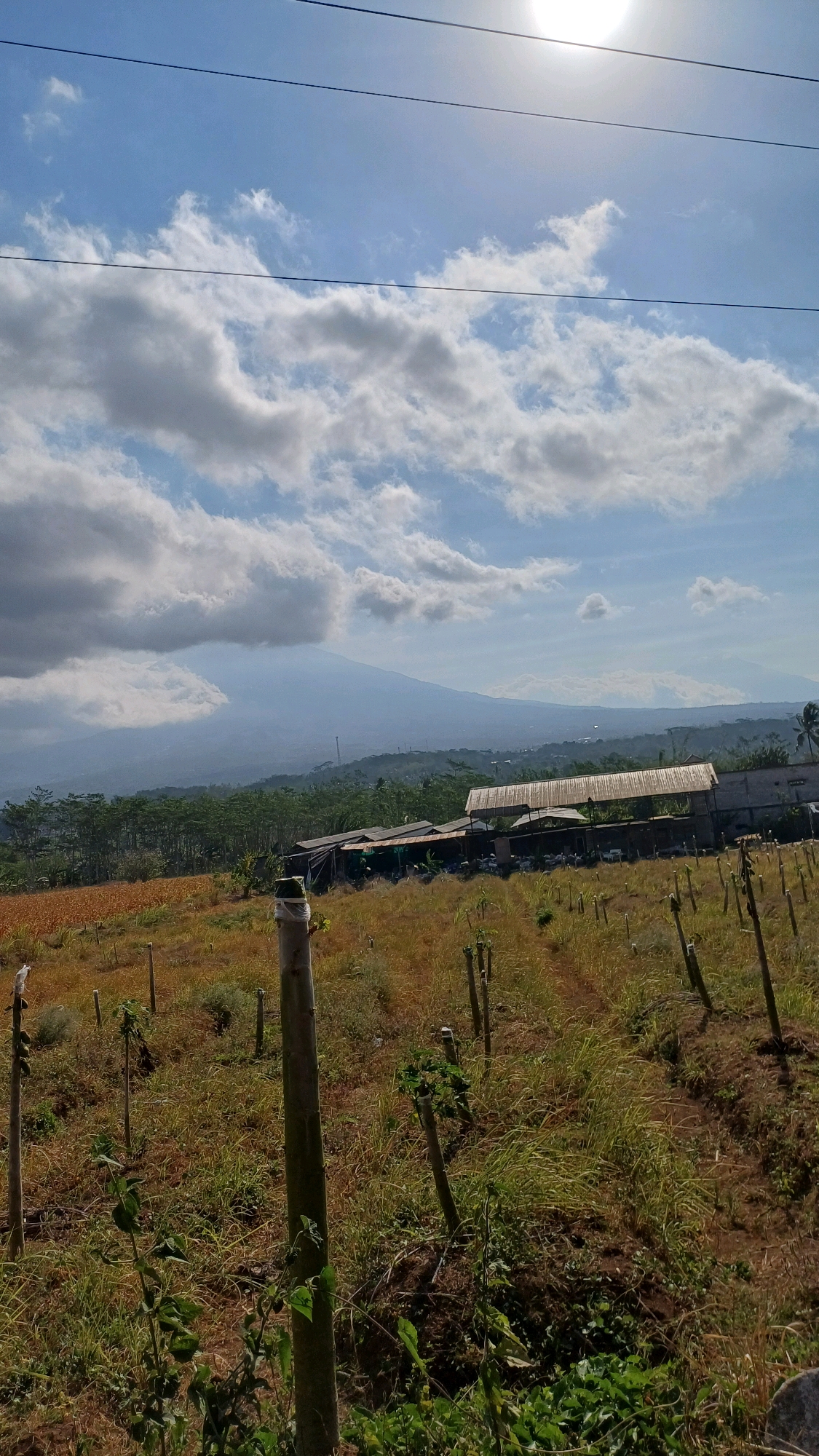 This is a vertical, eye-level, medium-long shot photograph taken outdoors in the city of Badran, Indonesia. The scene captures a rural landscape with a mountain in the background under a partly cloudy sky. In the foreground, there is a field with numerous wooden poles, some of which appear to support small plants or vines. The ground is covered with dry grass and some patches of brown soil, suggesting a dry season or arid conditions.
Further back, a row of trees borders a field of what appears to be dry, brown vegetation, possibly crops. Behind the trees, there are several low-rise structures with corrugated metal roofs, suggesting agricultural buildings or sheds. A large, hazy mountain range dominates the background, with the sun shining brightly through the clouds in the upper right quadrant of the image. The overall atmosphere is serene and natural, indicative of a rural or agricultural area.