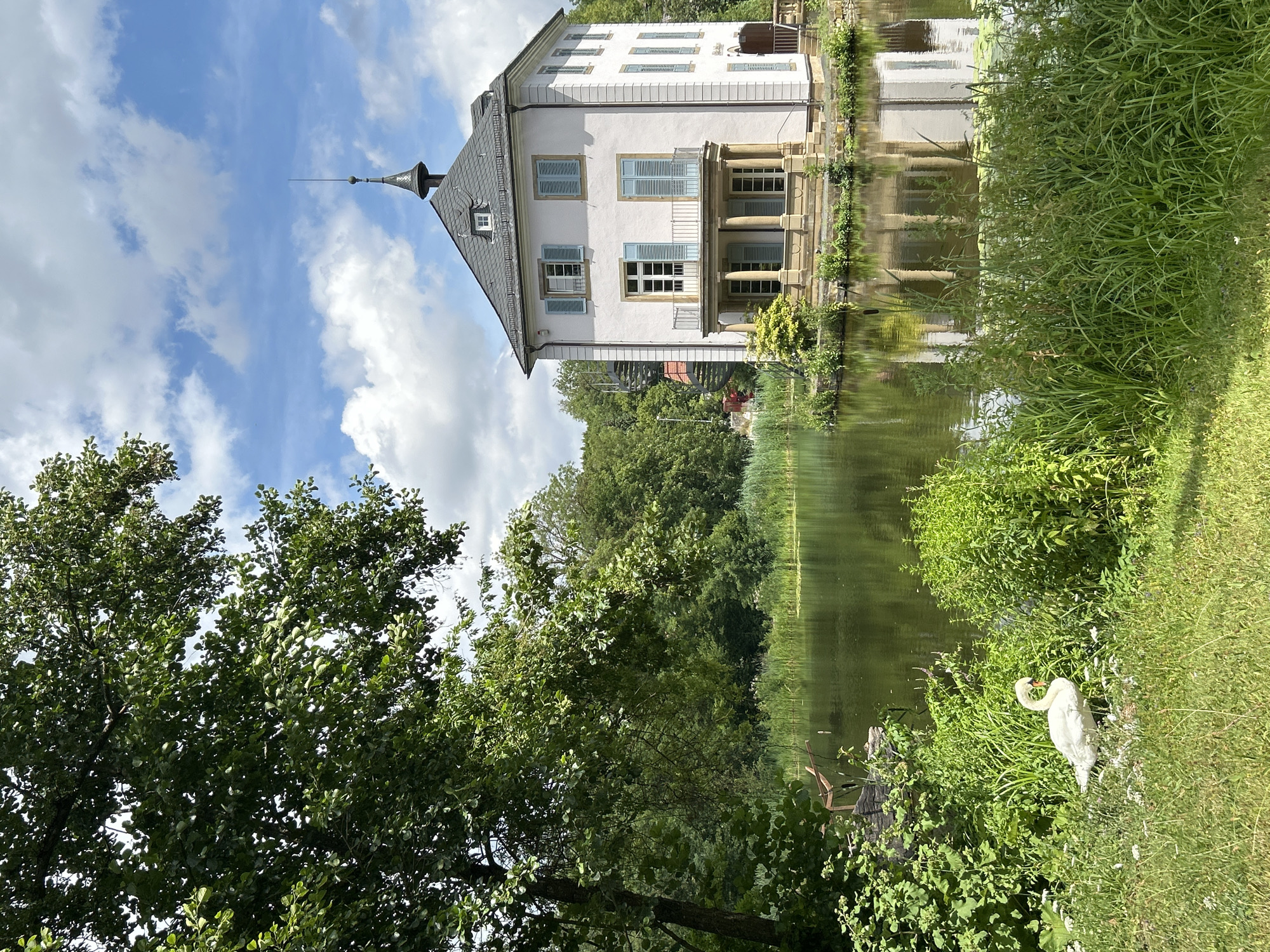 The image depicts a serene waterside scene with a classical white building reflected in the calm water. The building, which appears to be a house or small castle, features a steep, dark roof topped with a spire, and a facade with evenly spaced windows with light blue shutters. A balcony with columns runs along the front of the building.
To the right of the building, a white swan is gracefully positioned on the grassy bank, its neck elegantly curved. The surrounding vegetation is lush and green, with tall grasses and trees forming a natural border along the water's edge. The water itself is a deep green, reflecting the trees and the sky, which is a clear blue with scattered white clouds.
The overall impression is one of tranquility and natural beauty, suggesting a peaceful day in an idyllic location. The lighting indicates it is daytime, likely late morning or early afternoon, given the bright sunlight casting gentle shadows. The scene appears to be set in a park or a garden area, possibly near a body of water such as a lake or a slow-moving river. No people are visible in the frame. There is no visible text in the image.