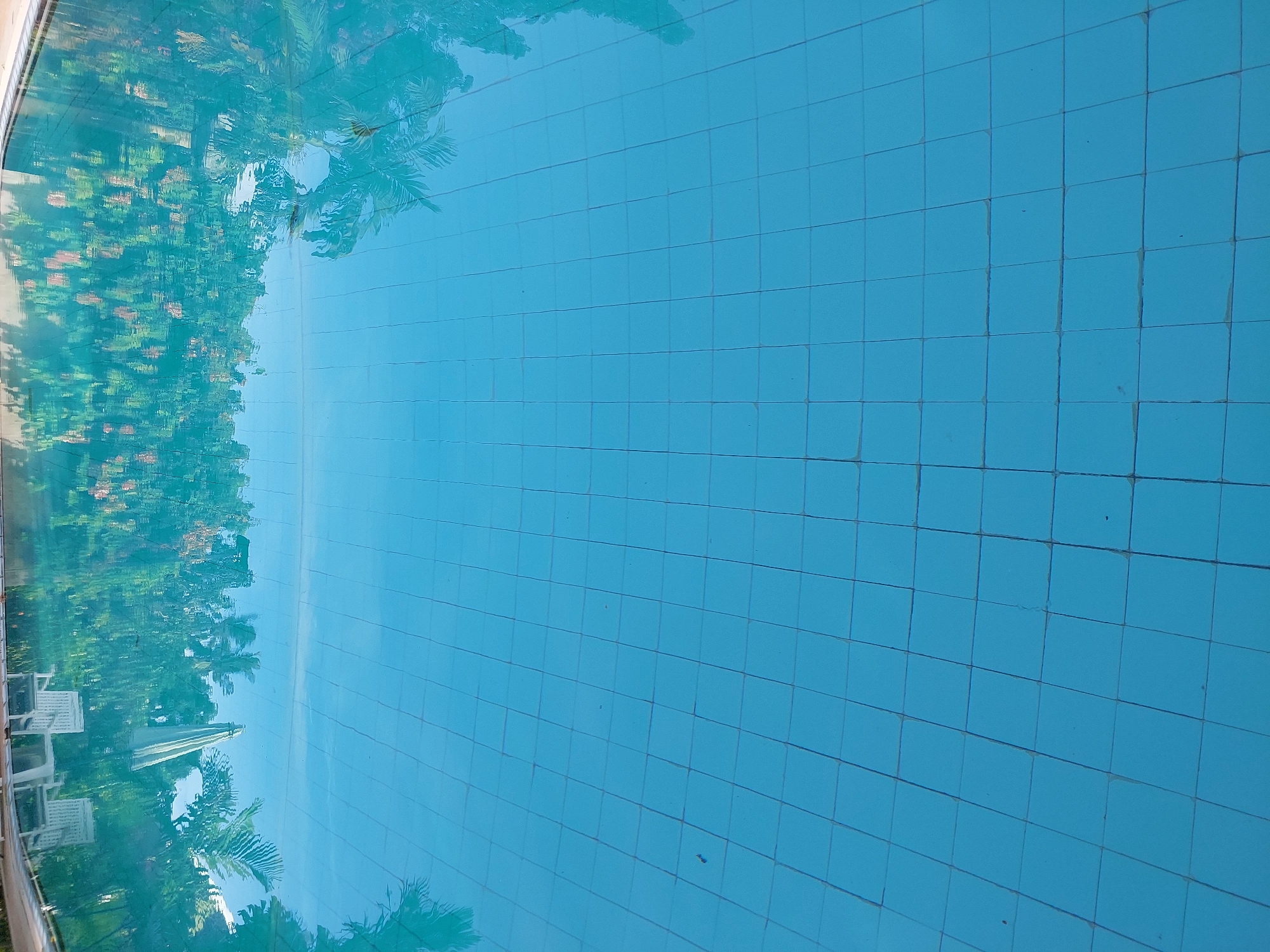 The image shows an empty swimming pool with light blue tiles. Reflections of trees, foliage, and what appears to be white chairs and an umbrella are visible on the surface of the water, indicating an outdoor location. The scene is tranquil and devoid of human activity. The tiles are arranged in a grid pattern.