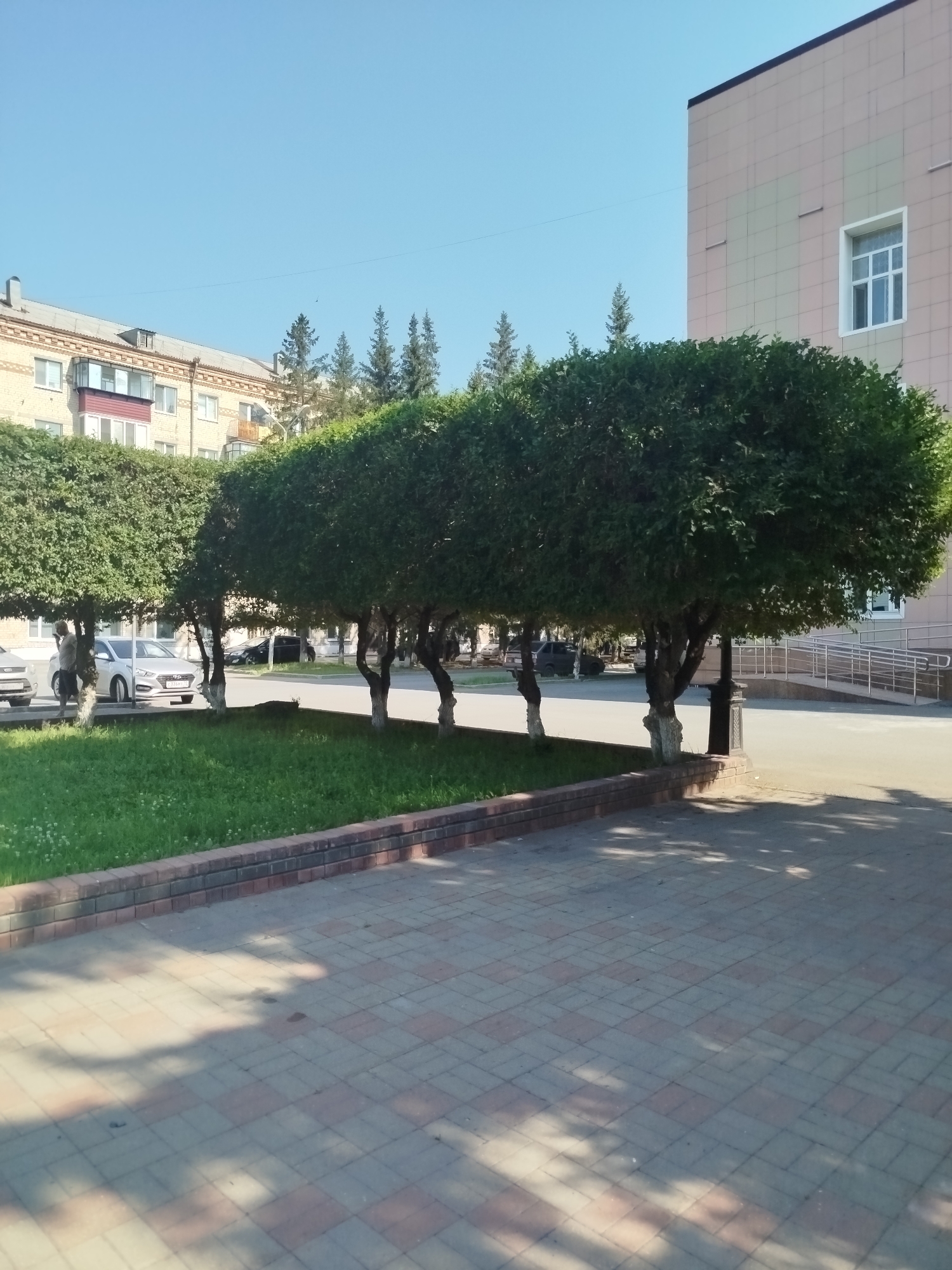 In Yalutorovsk, Russia, a paved walkway is visible in the foreground, laid with interlocking rectangular pavers in shades of grey and pink. Beyond the walkway, a low brick retaining wall separates it from a strip of vibrant green grass. A line of meticulously pruned, rounded trees with whitewashed trunks forms a prominent feature in the mid-ground, casting dappled shadows on the pavement. In the background, a light-colored, multi-story building with a grid-like facade and a prominent window stands to the right, while a more traditional brick apartment building with balconies and several evergreen trees is visible to the left. Several cars are parked along the street in front of the apartment building, and a person wearing a light-colored shirt and dark shorts is standing near one of the trees on the left. The sky is clear and blue, suggesting a sunny day.
