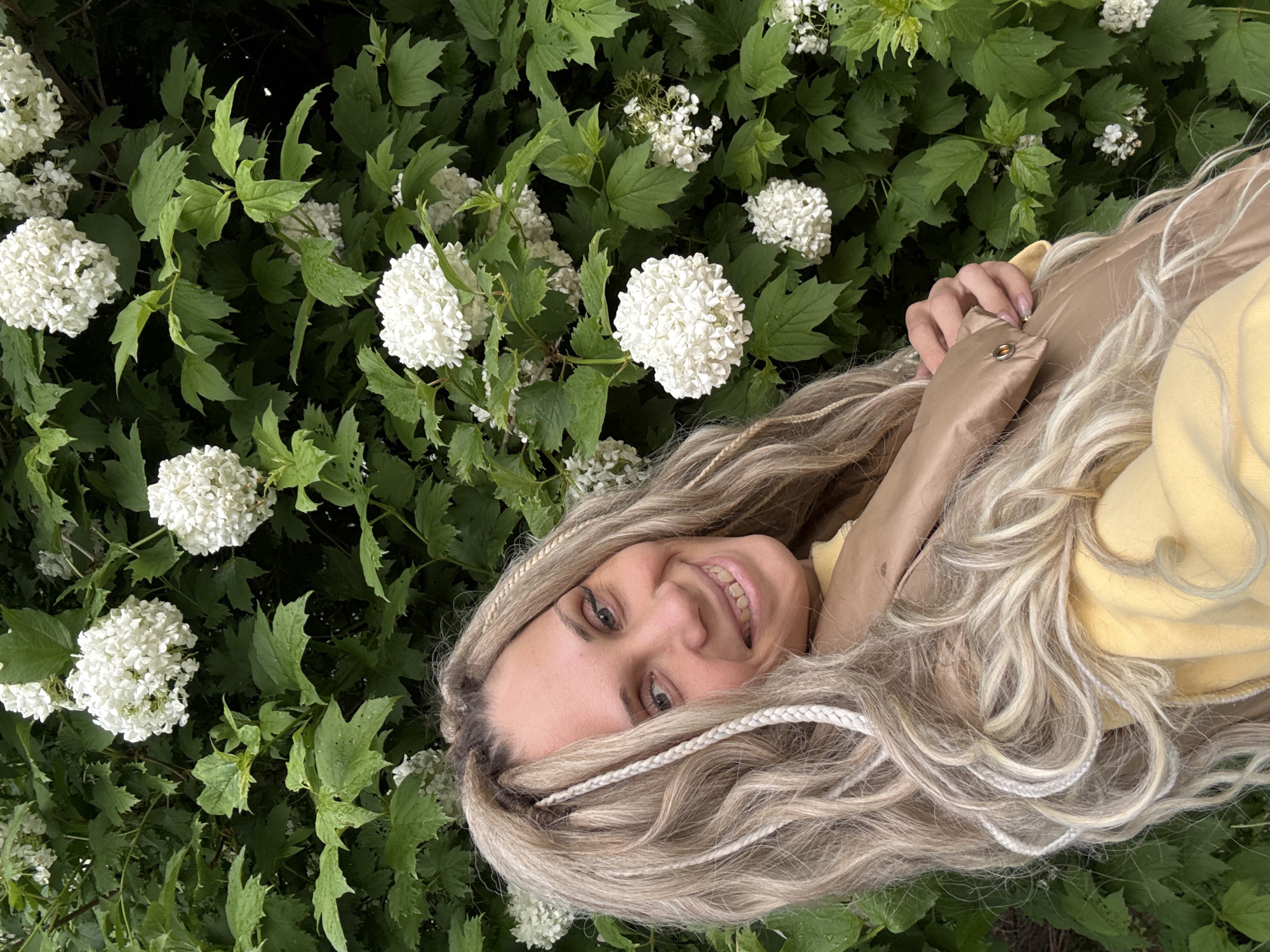 A woman is lying among green foliage and white spherical flowers. She is smiling and facing upwards towards the camera. She has light brown hair with light-colored braids intermixed. She wears a yellow top and a tan jacket. The location is in the city of Unknown, Unknown.