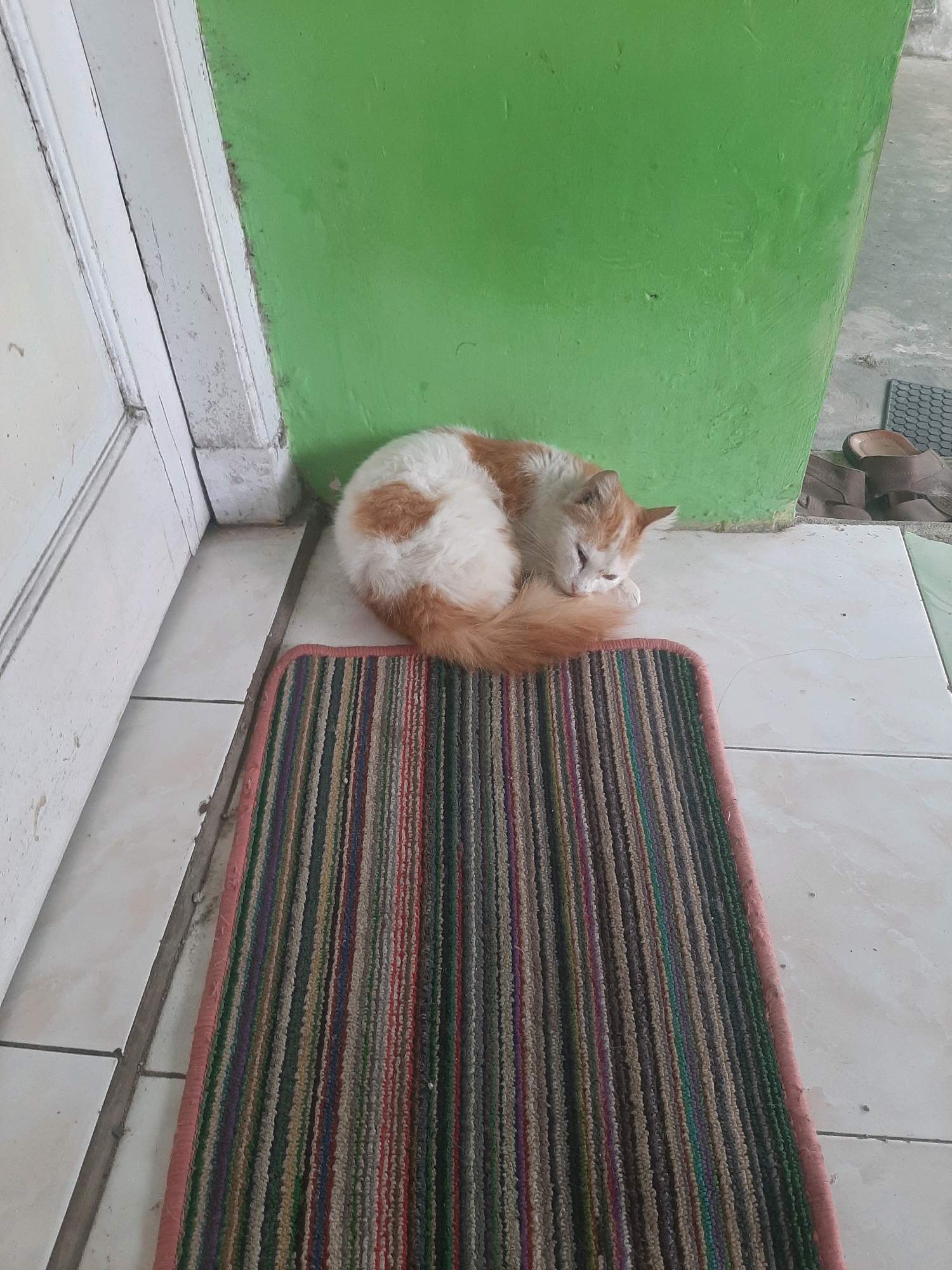 A ginger and white cat sleeps curled up on a striped doormat in front of a bright green wall. The cat's fur is fluffy, and its tail is wrapped around its body. The doormat has vertical stripes of various colors, including red, green, blue, and brown. The ground is tiled with light-colored square tiles. To the left of the cat is a white door frame that appears worn and slightly chipped. In the background, to the right of the green wall, is a glimpse of an outdoor area with a pair of brown sandals and a dark, textured mat on the ground. The scene appears to be an outdoor area near a building, possibly a residential entrance, in Sumampir, Indonesia.