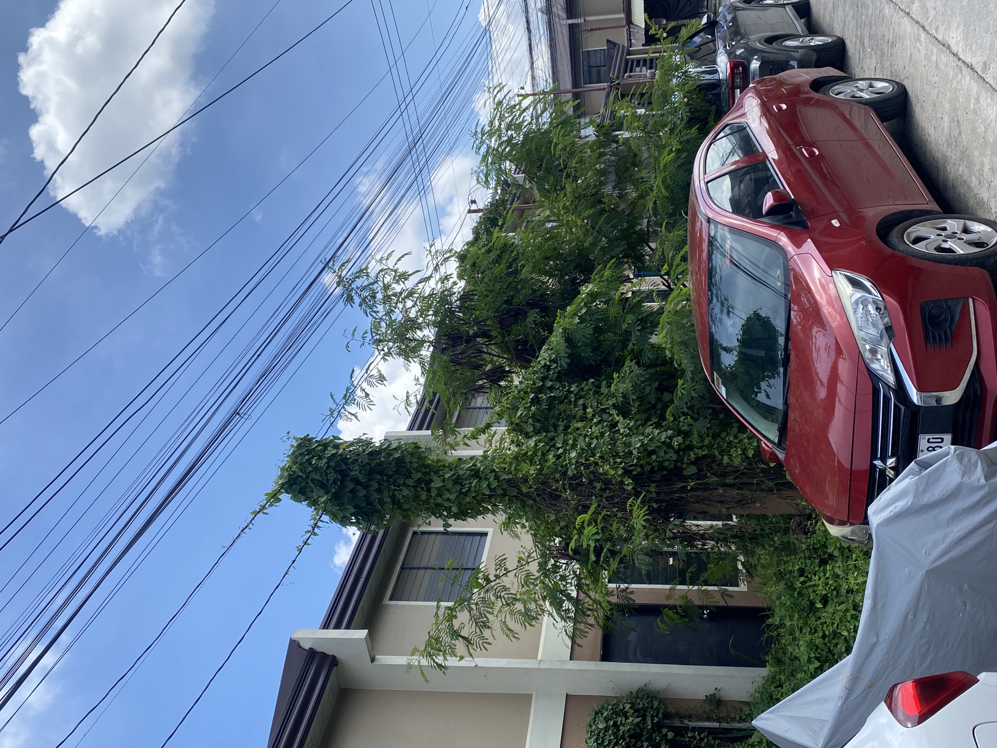 This image depicts a street scene in Davao City, Philippines, characterized by a row of attached houses and parked vehicles under a bright, cloudy sky. In the foreground, a red sedan is parked on the concrete street, partially obscuring a white car covered with a gray tarp. Behind the red car, a dark-colored SUV is also parked. The houses in the background have beige and brown facades, with visible windows and brown rooflines. Overgrown green vegetation, including a tall vine, covers parts of the houses and extends into the foreground, contributing to a slightly wild and unkempt appearance of the surroundings. Numerous black electrical wires are strung across the sky, a common sight in urban and suburban areas of the Philippines. The overall impression is one of a typical residential street, with a blend of modern structures and natural overgrowth.