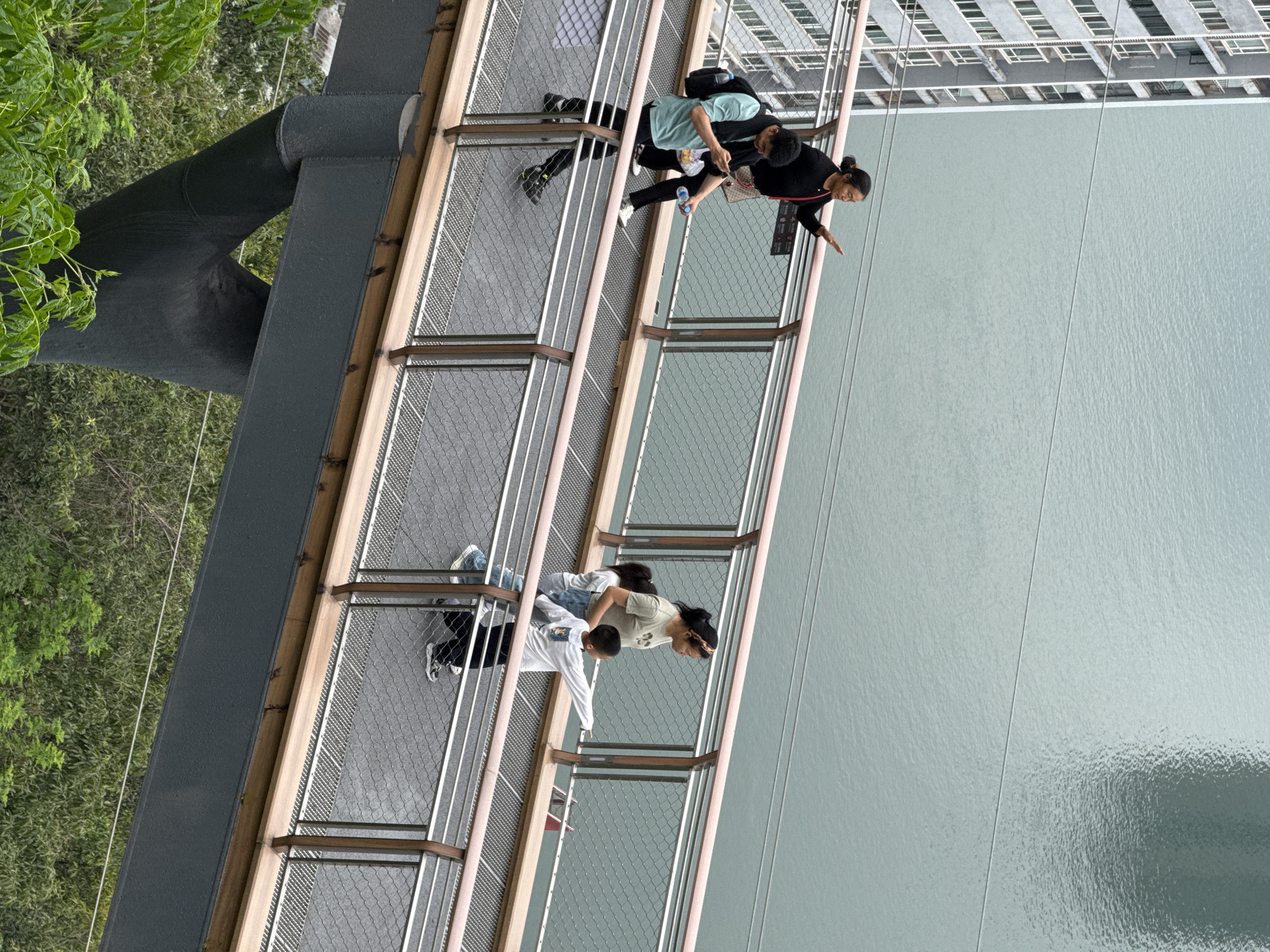 The image shows an elevated walkway in Yuzhong District, China. The walkway is constructed of metal and wood, with wire mesh railings. It is supported by a large gray metal beam, which is visible on the left side of the frame. Lush green trees are visible on one side of the walkway. Two pairs of people are visible on the walkway. The first pair consists of a woman in black and another person, with both looking over the side of the walkway. The second pair consists of a woman wearing a light-colored shirt and a man in a white shirt, also looking over the side of the walkway. Below the walkway, a large body of water is visible. Behind the walkway, a tall building is visible.