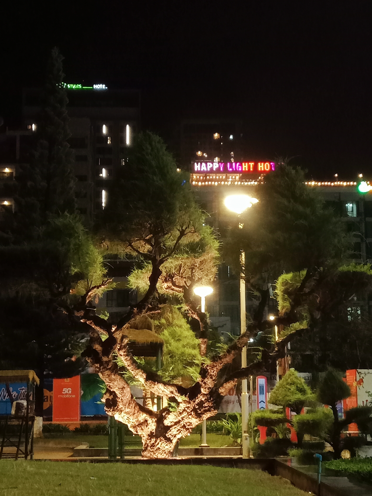 At night in Nha Trang Ward, Vietnam, a park area is lit by streetlights. In the background, buildings are visible, including one with a sign that reads "Ibis Styles Hotel" and another with the neon sign "Happy Light Hot". The primary subject is a large, intricately branched tree, brightly illuminated from below, casting shadows on the surrounding lawn. Other trees and landscaped shrubs are also present. A partially visible advertising sign is behind the tree that advertises "5G Mobifone". In the foreground, a patch of grass stretches towards the viewer.