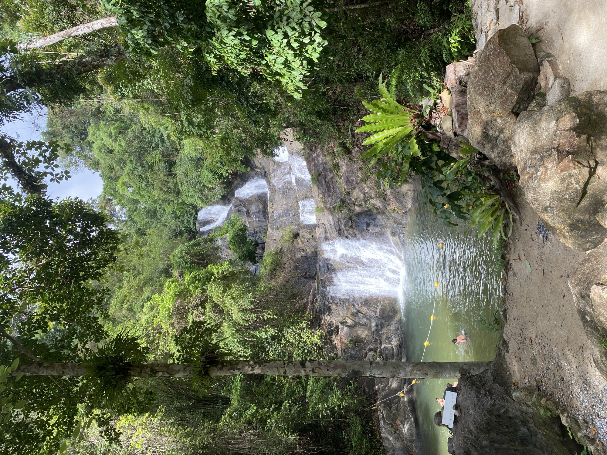 The image captures a multi-tiered waterfall cascading down a rocky cliff face surrounded by lush green vegetation. The location is Tambon Thai Mueang, Thailand. The waterfall empties into a pool where a person is swimming. A safety rope marked with yellow buoys spans the width of the pool. A tree trunk stands vertically in the foreground, partially obscuring the view. On the right side of the image, a rocky outcrop with a concrete path runs along the edge of the pool. Two people are present near the rocky outcrop and the safety ropes.