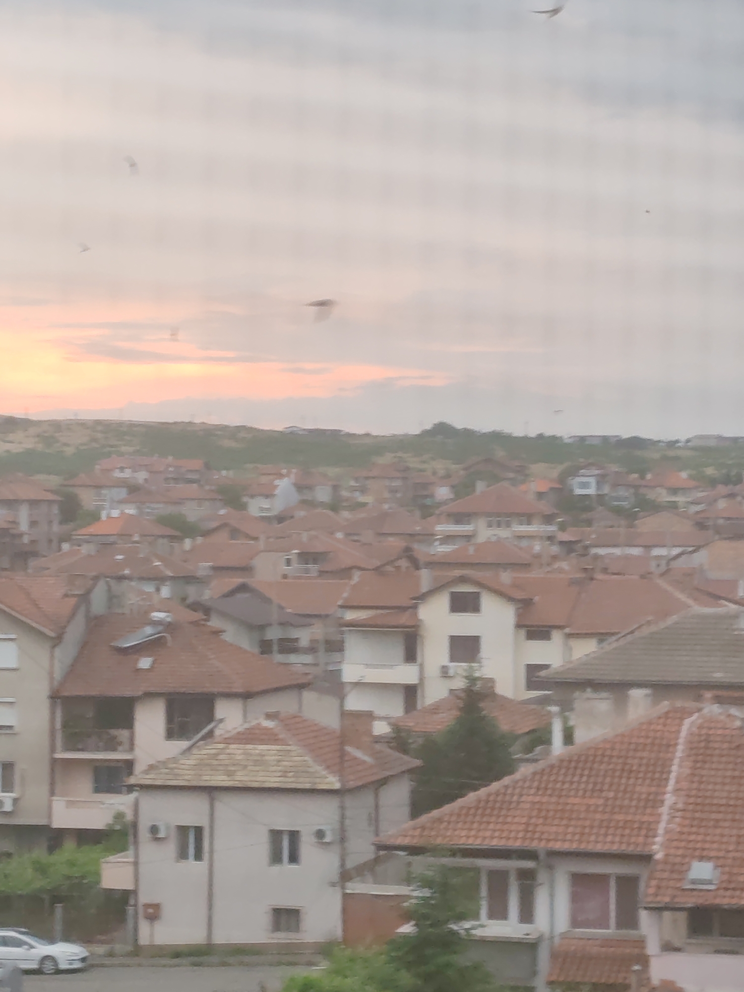 The image presents a residential cityscape in Burgas, Bulgaria, viewed through what appears to be a screen or mesh, creating a distinct grid pattern over the entire scene. The time of day is either sunrise or sunset, characterized by a soft, pastel-colored sky in the upper portion of the frame, showing hues of light orange, pink, and grey. Several blurred, indistinct specks, possibly birds or insects, are visible against the sky, also distorted by the screen.
The main subjects are numerous houses with predominantly red-tiled roofs, densely packed together, stretching across the mid-ground and into the foreground. The architecture suggests a typical Southern European or Balkan style, with multi-story buildings, some featuring balconies and external air conditioning units. One house in the foreground prominently displays a solar water heater on its roof. Green foliage, including trees and bushes, is interspersed among the buildings and on the distant hill.
In the lower left foreground, part of a white car is visible, parked on what appears to be a street. The background features a gently sloping, lightly vegetated hill under the muted light of the sky. The overall scene depicts a quiet, established urban environment during a transitional light period of the day. No individuals are visible, and no discernible text is present on any of the structures.