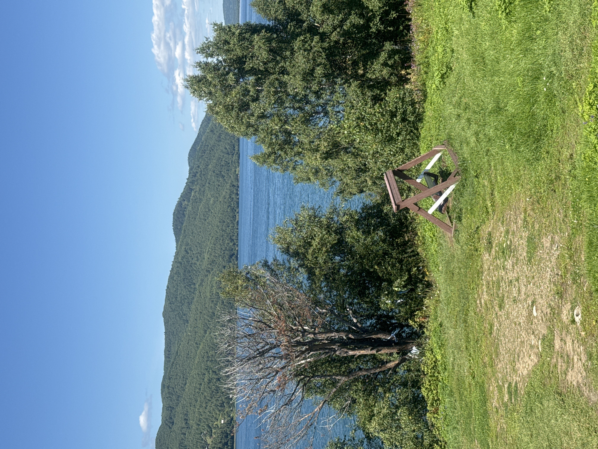 This image captures a scenic view of a large body of water, likely Lake Baikal, with lush green forested hills in the background. The sky is a clear blue with a few scattered white clouds. In the foreground, a grassy slope leads down to the water, with several trees of varying types. One prominent tree on the left appears to be dead or dying, with bare branches. To the right of this tree, a cluster of vibrant green trees stands tall. In the middle ground, a wooden A-frame structure with white accents is visible. The overall scene is tranquil and natural, suggesting an outdoor setting. The location is described as being in the city of Listvyanka, Russia, a popular tourist destination on the shores of Lake Baikal.