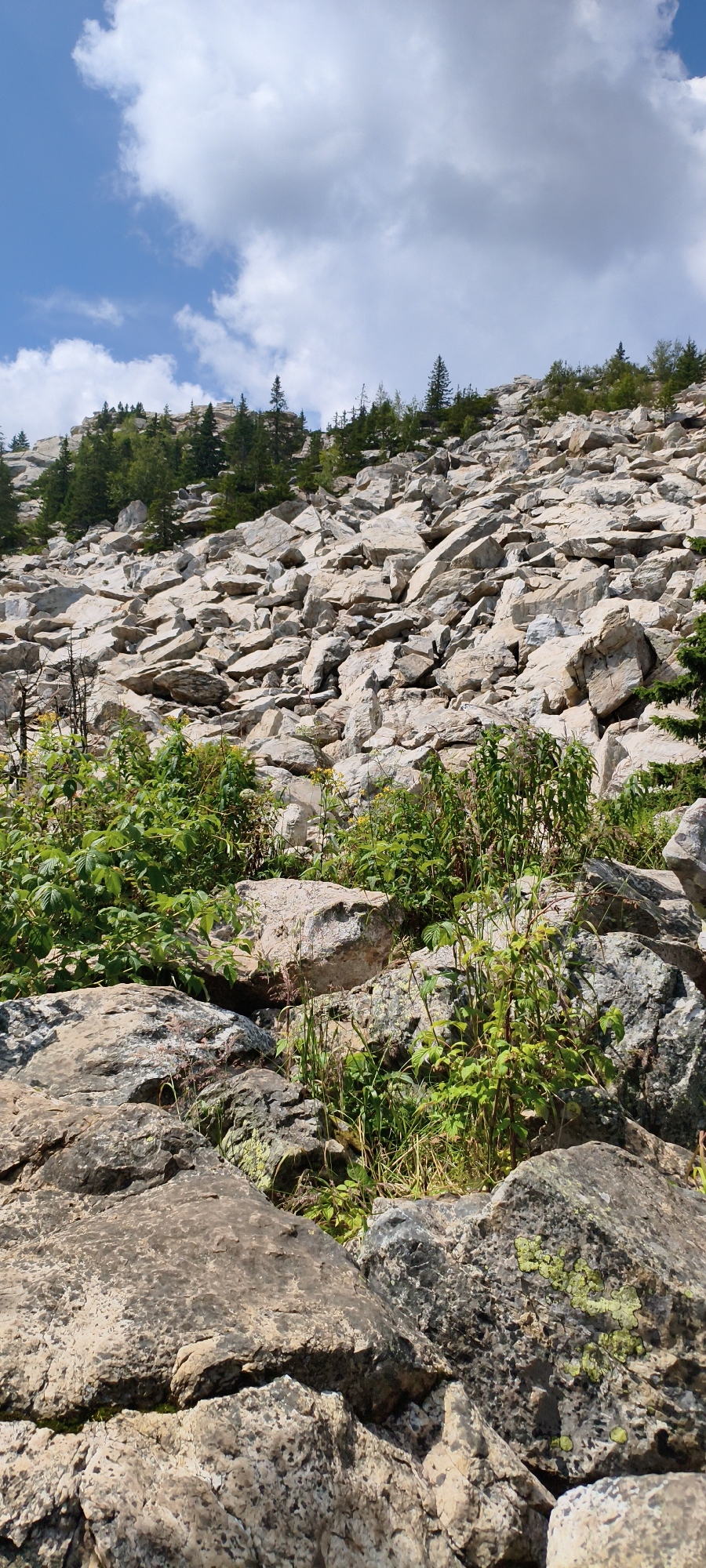The image depicts a steep, rocky mountainside in Ziuratkul', Russia, covered in numerous large, light-colored stones. Patches of green vegetation, including small trees and bushes, are interspersed among the rocks, particularly in the lower and mid sections of the slope. The sky above is blue with scattered white clouds. The scene appears to be a natural landscape, likely part of a national park or wilderness area, with no human presence or man-made structures visible. The terrain is rugged and uneven, characteristic of a mountain slope.