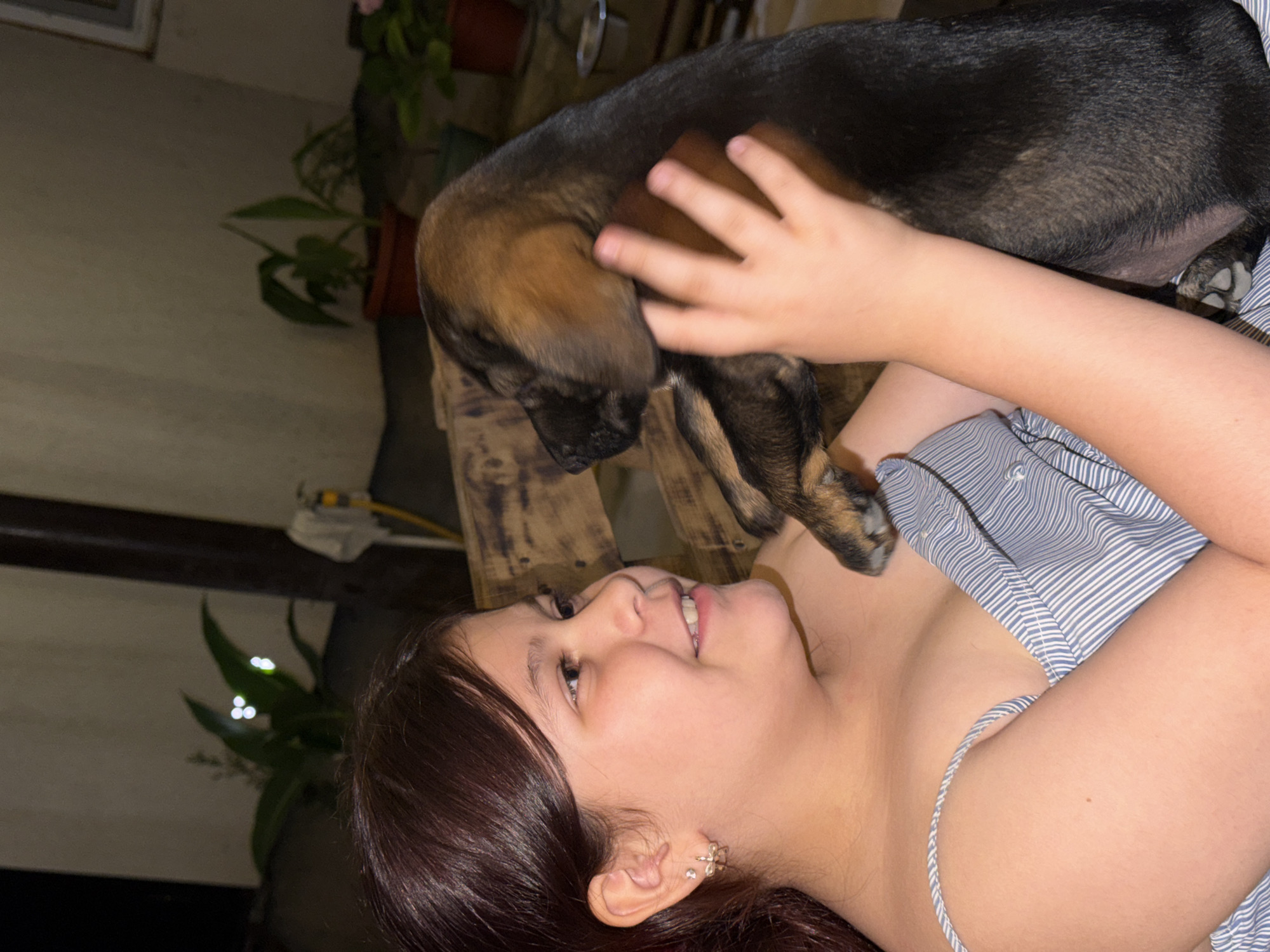 A young girl with dark hair is holding a brown and black puppy in her arms. She is smiling and looking at the puppy, who is nuzzling her face. The girl is wearing a blue and white striped dress. The background is blurry but appears to be an outdoor setting with plants and wooden structures. The scene is lit by artificial light, creating a warm glow. The location is the city of Tuapse, Russia.