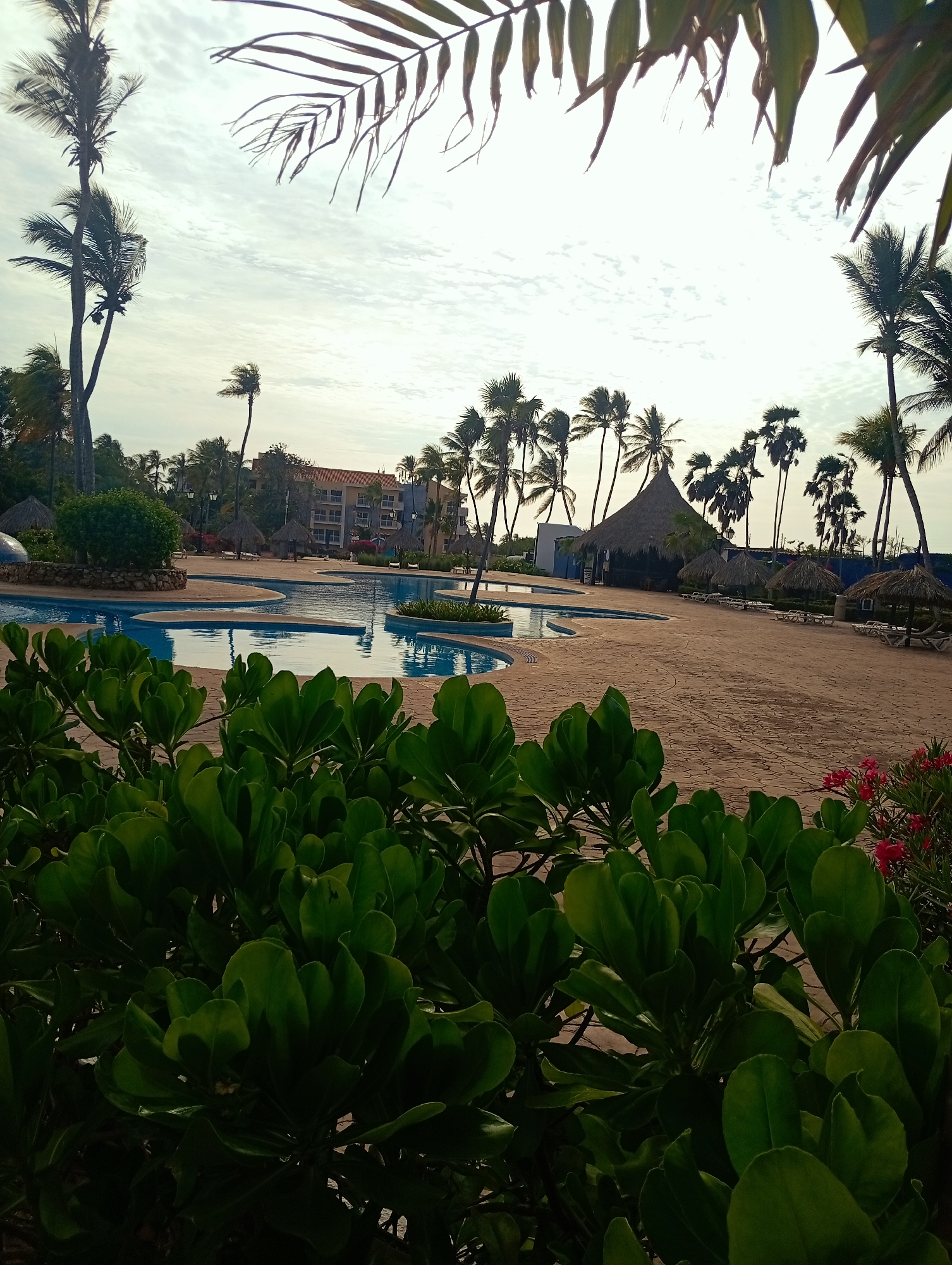 The image shows a resort scene, possibly in Playa El Agua, Venezuela, though that is unconfirmed. In the foreground is lush green vegetation, obscuring part of the view. Beyond the vegetation lies a multi-section swimming pool with clear blue water, surrounded by a tan-colored patio. Several thatched-roof huts provide shade and are furnished with lounge chairs. Palm trees are scattered throughout the area. A multi-story building is visible in the background. The sky is overcast, with a high cloud cover.