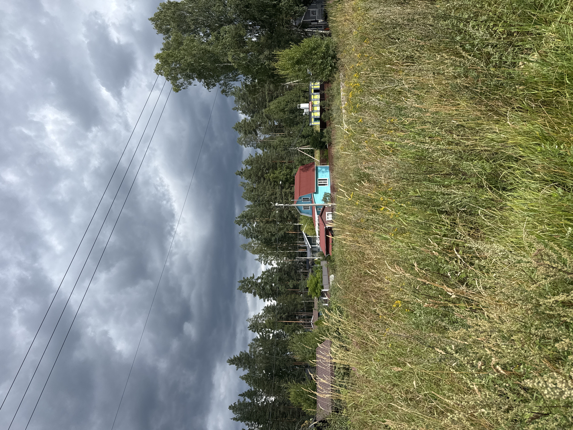A wide shot captures a rural landscape in Steklyannyi, Russia, under a dramatic, overcast sky filled with dark storm clouds. In the foreground, tall, dry grass and wildflowers stretch across the frame. Behind the meadow, a line of evergreen trees forms a dense forest. Amidst the trees, several houses are visible. The most prominent is a bright turquoise house with a red roof. To its right, a yellow structure with a white roof sits next to a smaller, gray house. Power lines run across the top of the image, bisecting the sky. The scene evokes a sense of impending weather and the tranquility of a country setting.