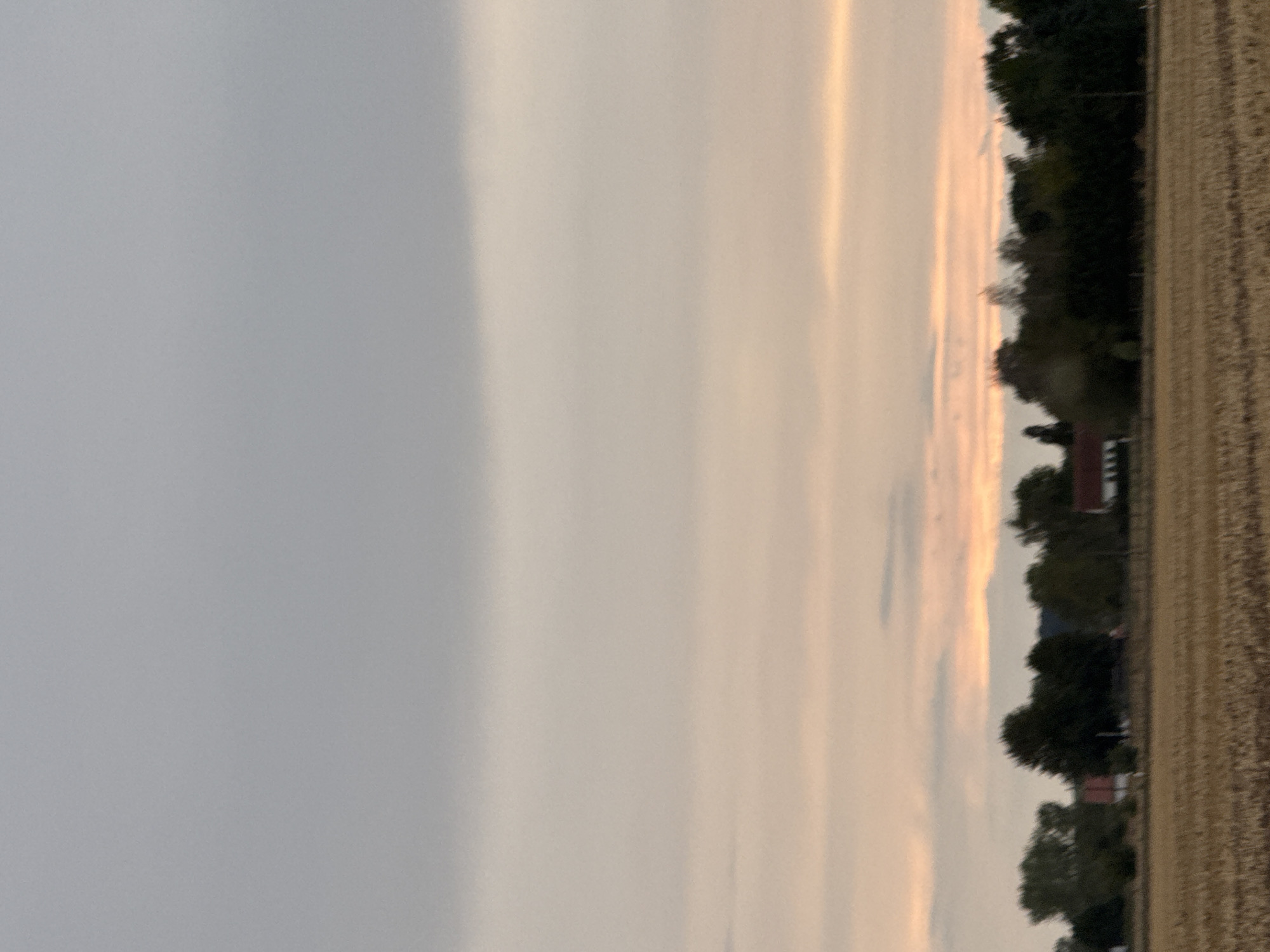 The image depicts a rural landscape at dusk, likely in or around Ellrich, Germany. The foreground shows a harvested field with stubble. In the middle ground, a line of trees partially obscures several buildings, including structures with red and white roofs. The sky is overcast with soft hues of gray and pale orange, indicating the sun has set or is very low on the horizon. No people are visible in the image.
