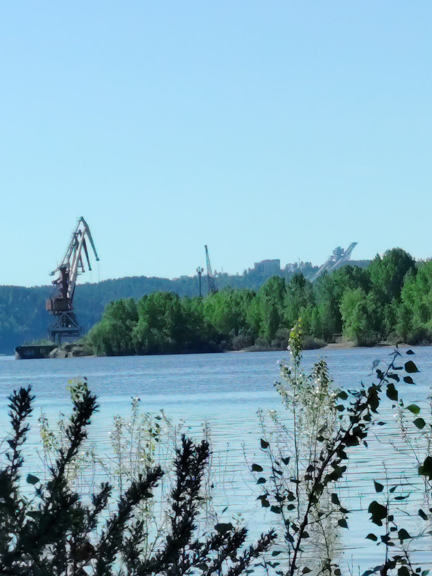 The image depicts a waterfront scene in Chaikovsky, Russia, under a clear, blue sky. In the foreground, silhouetted foliage frames the view. Beyond the foliage, the smooth surface of a body of water stretches towards the midground, where a tree-lined shore meets the water's edge. Cranes and industrial structures are visible on the shore, indicating the presence of a port or industrial area.
