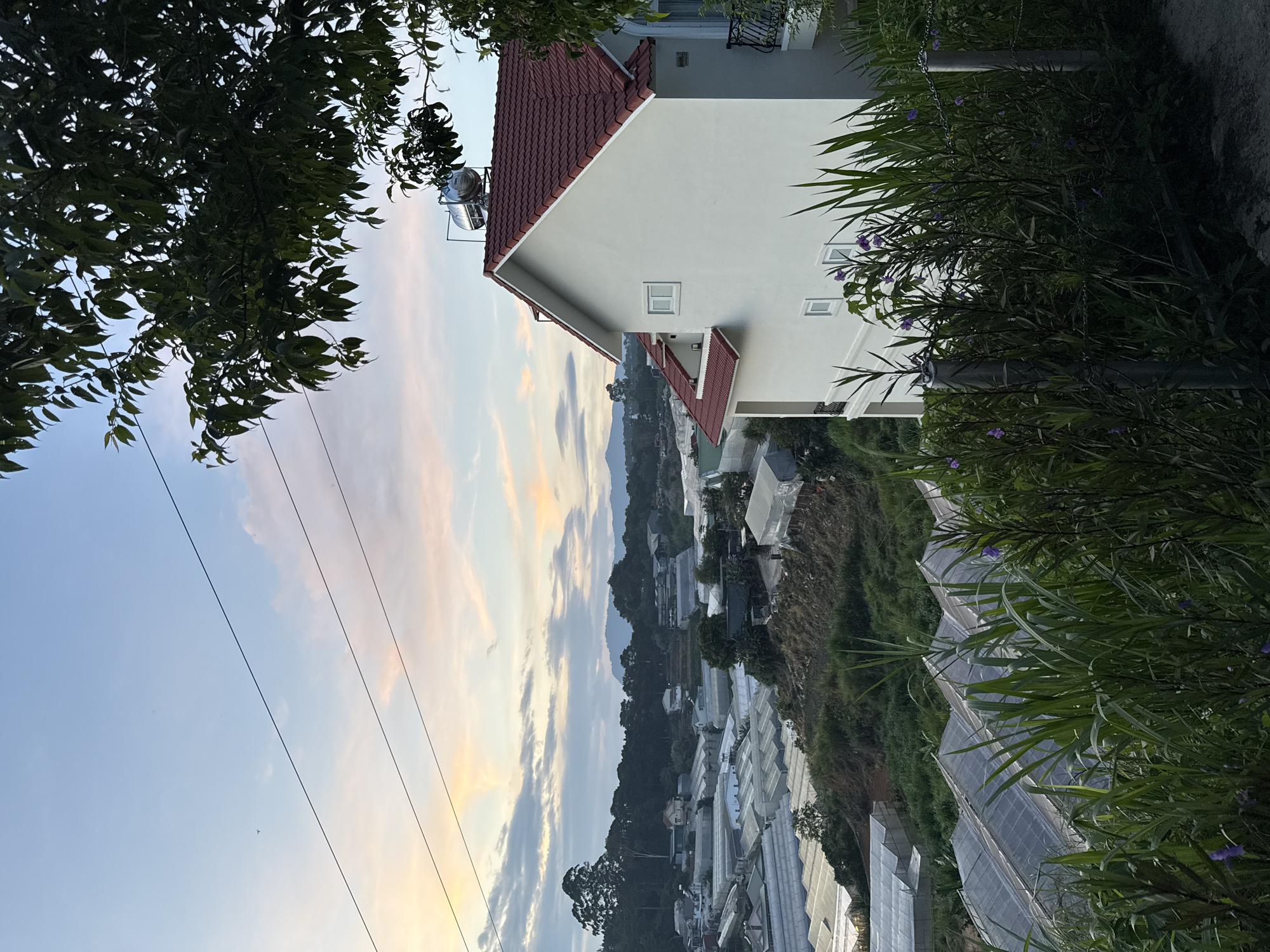 The image shows a hillside view in Lâm Viên - Đà Lạt, Vietnam. A white, two-story building with a red roof is positioned on the upper right. To the left of the building is a view overlooking numerous greenhouses on the hillside. The sky is visible in the background with clouds tinted by the setting sun. Power lines stretch across the upper left of the sky. Tree foliage is located on both sides of the foreground.