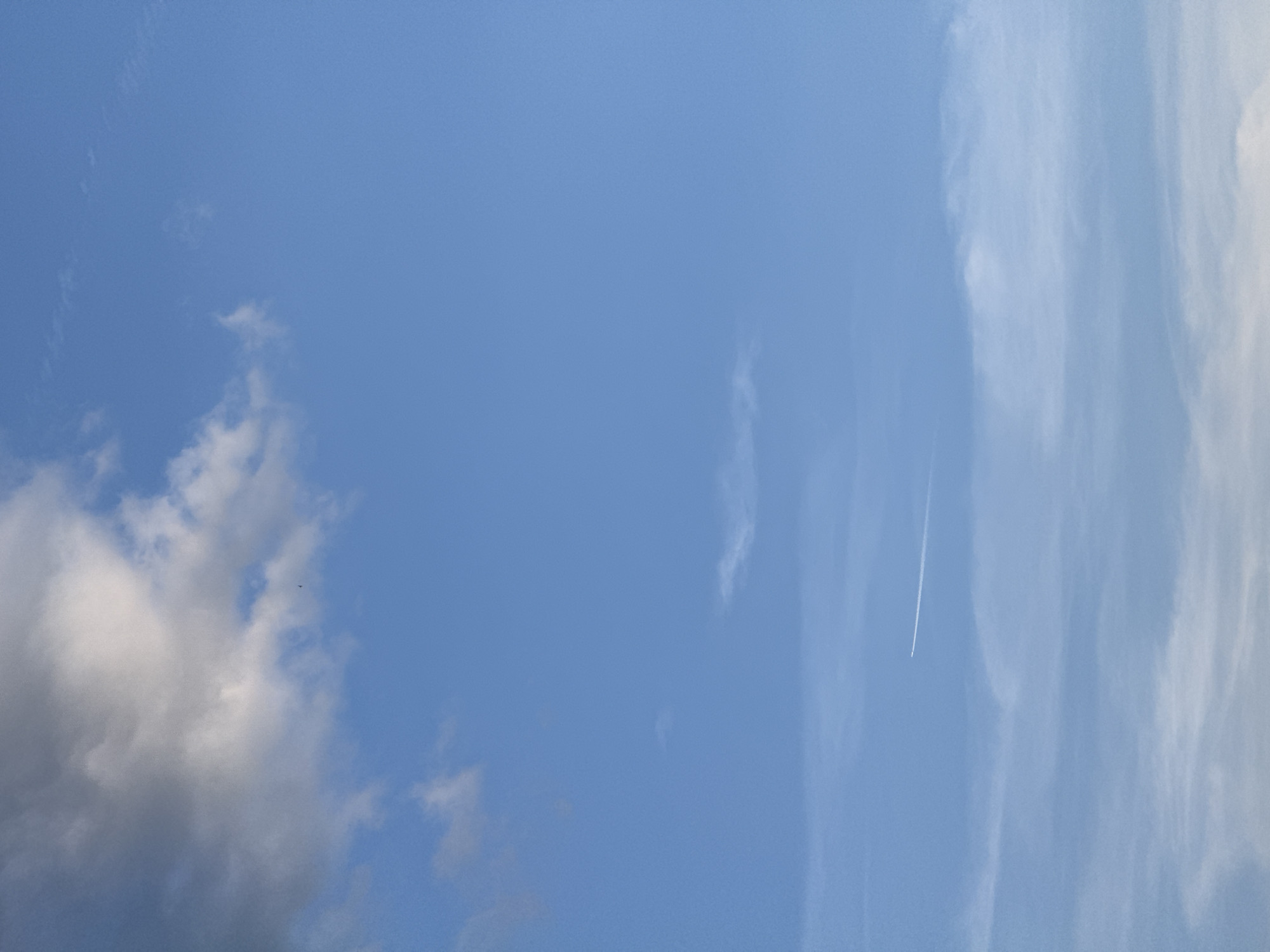 The image displays a clear and partly cloudy daytime sky over Tbilisi, Georgia. The upper left quadrant features a dense accumulation of grey and white cumulus clouds. Towards the upper right, scattered, wispy white clouds are present. The lower portion of the sky exhibits a lighter blue hue transitioning into diffuse, faint white cloud layers and haze. A thin, white aircraft contrail extends diagonally from the lower left towards the middle right, with the originating aircraft visible as a tiny white speck at its rightmost end. A small, dark bird is discernible in flight in the upper-left quadrant, situated below the main cloud mass.