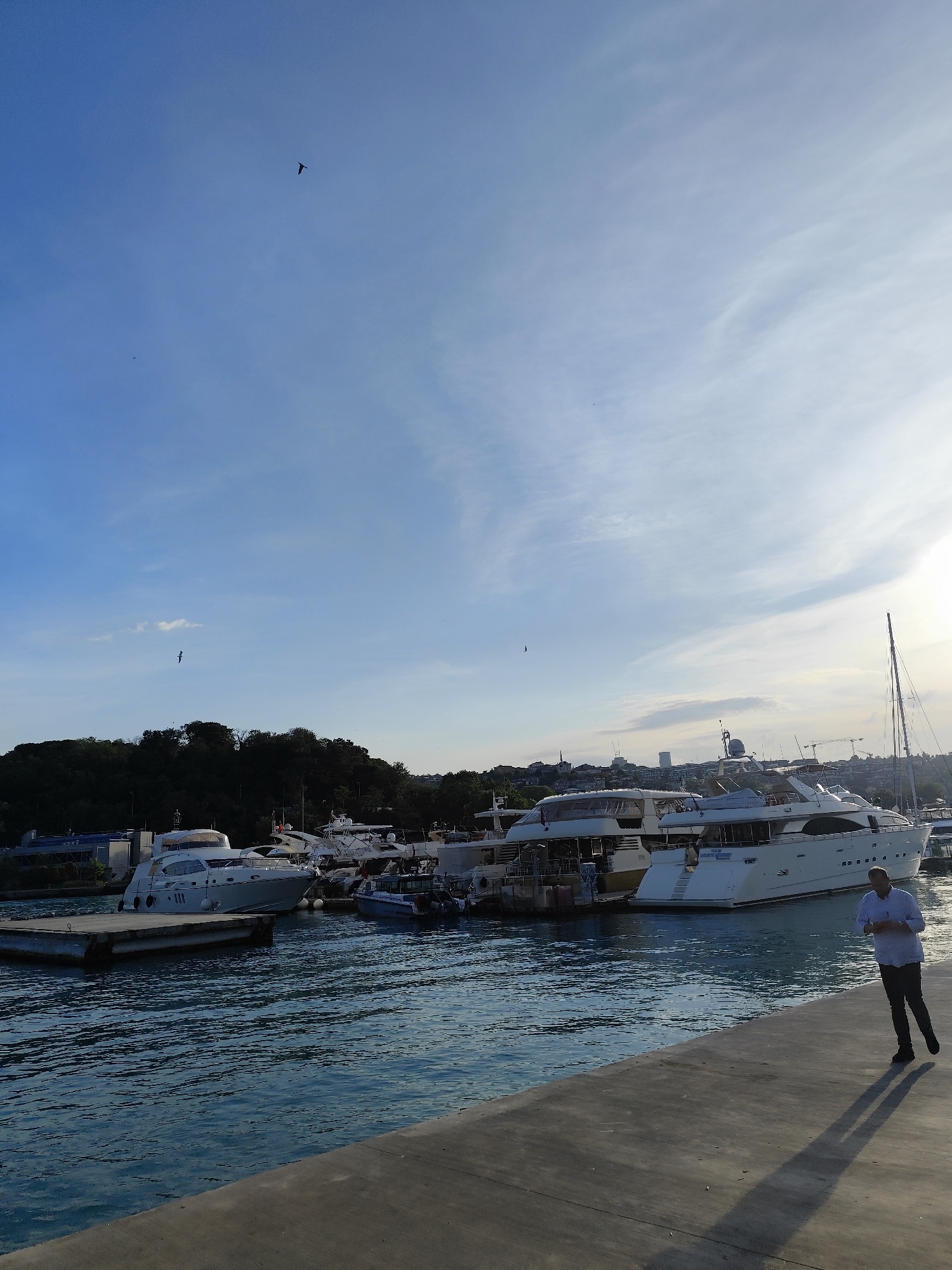 This image captures a vibrant marina scene in Sarıyer, Turkey, during what appears to be the late afternoon or early evening. The sky is largely clear and bright blue, transitioning to a lighter, hazy hue on the right where the sun casts a golden glow. Wispy clouds are scattered across the sky, and several birds are visible in flight.
The foreground features a wide concrete pier or walkway, with calm, dark blue water to its left. Numerous boats, predominantly white luxury yachts of varying sizes, are docked in the marina. They are neatly moored, some close to the pier and others further back. One yacht's stern, visible in the middle-right, clearly displays the text "BLUE MOON" and a partial registration number, possibly "34 BS 010". Smaller, utility-style boats are also present among the larger vessels.
On the right side of the pier, a man is seen walking away from the viewer. He wears a light-colored, long-sleeved collared shirt and dark trousers, and appears to be looking down at something in his hands, possibly a phone. His posture suggests a leisurely stroll. A prominent, long shadow stretches out before him on the concrete, indicative of the low sun angle.
The background behind the marina is dominated by a lush, dark green, tree-covered hill that rises steeply on the left. To the right, beyond the moored boats, a more distant urban landscape emerges, featuring buildings and construction cranes, suggesting ongoing development in the area. The overall atmosphere is tranquil and pleasant, characteristic of a coastal port at the golden hour.