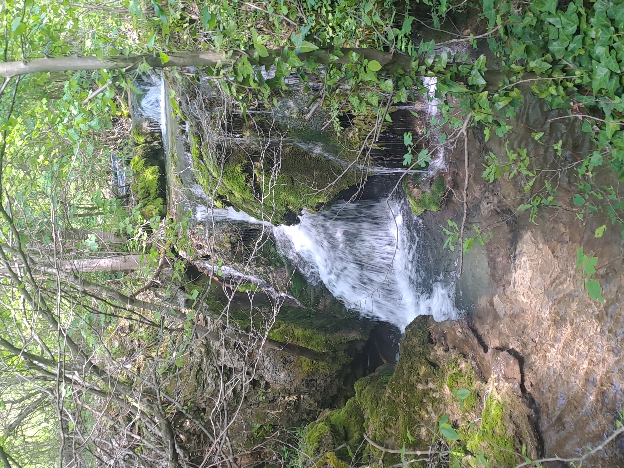 The image shows a small waterfall in Chelopek, Bulgaria. The water cascades over moss-covered rocks in a wooded area. Foliage, including branches and leaves, frames the scene. The water appears to be flowing rapidly.