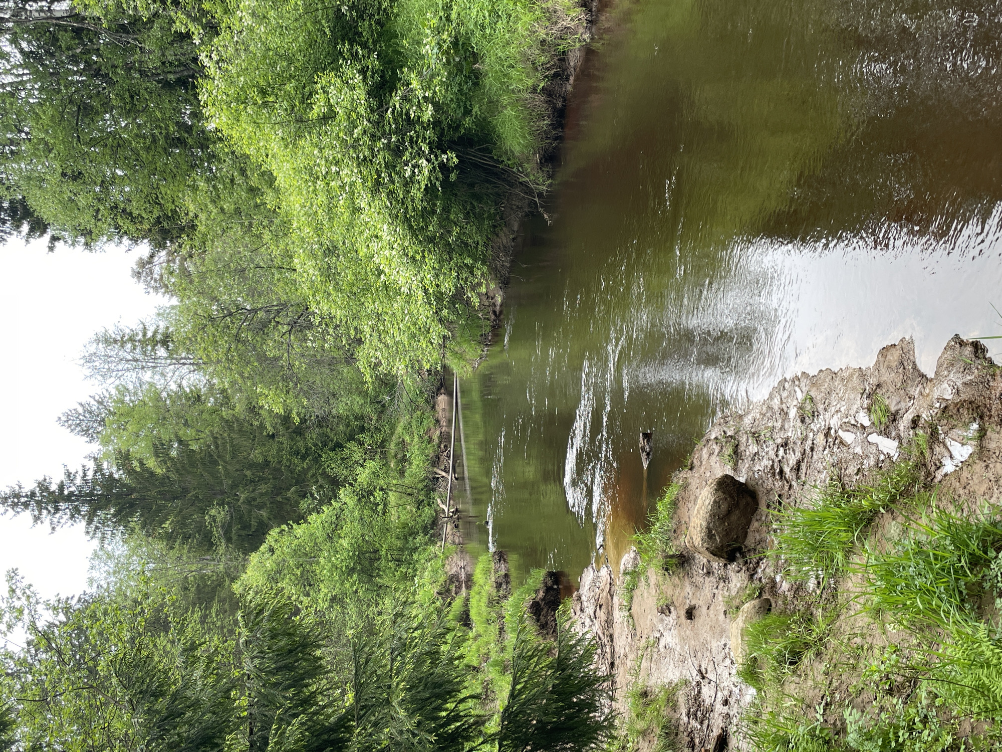 A medium-angle, vertical shot of a narrow river bordered by dense greenery and soil. The river, reflecting the sky and trees, flows from the top right to the left side of the frame. The banks are composed of light-colored soil, with patches of green grass and foliage. The opposite bank is covered in thick, green foliage. Trees line the far bank. The image appears to have been taken in a natural, outdoor setting. Location uncertain, as no confirmed data about this city or the river exists. No people or interaction evident.