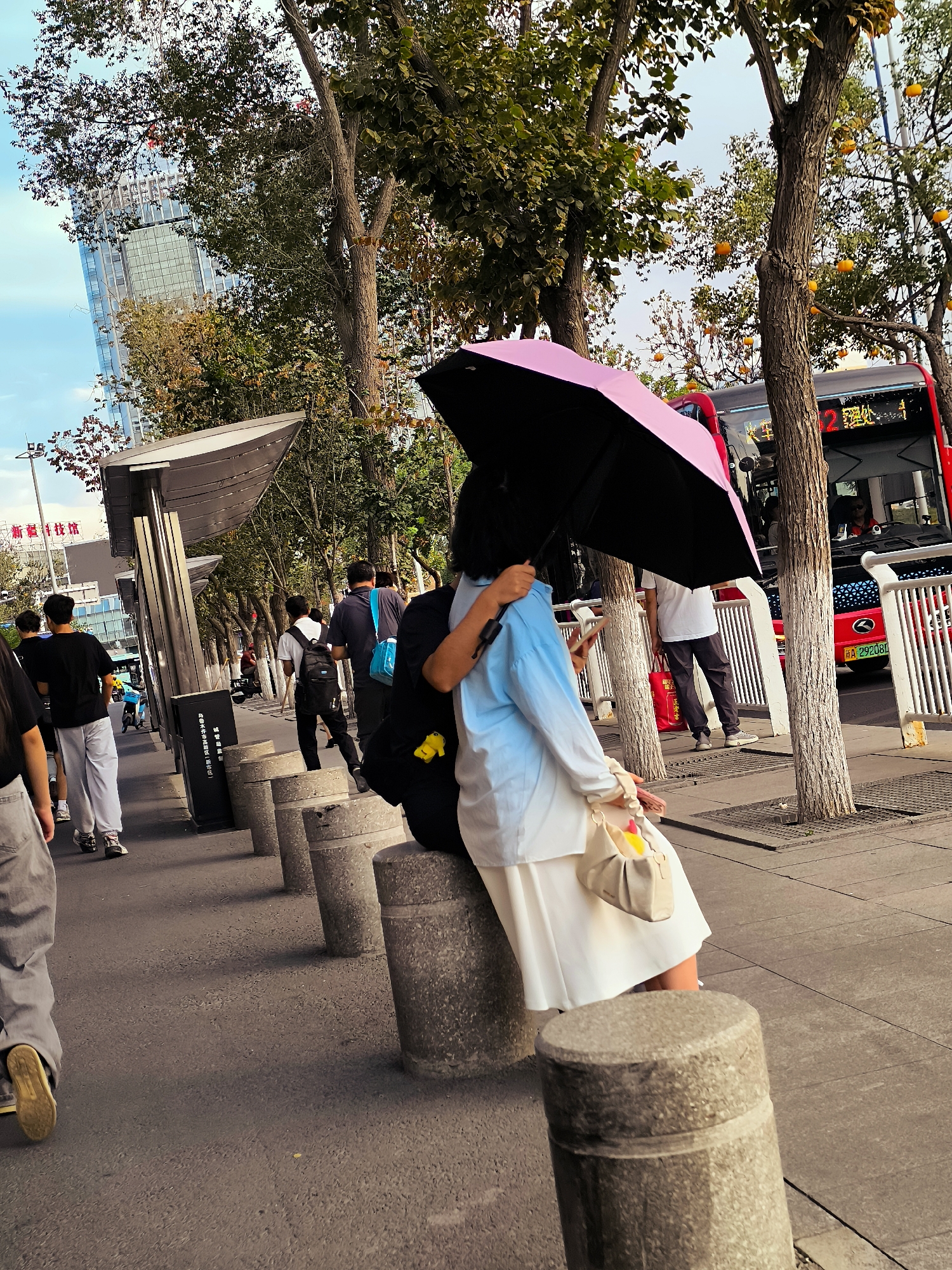 The image depicts a street scene in Ürümqi, China, likely near a bus stop or public transportation area, given the presence of a bus shelter and a red bus in the background. The foreground features several concrete bollards lining the sidewalk. A person, partially visible, sits on one of these bollards, holding a pink and black umbrella over themselves. They are dressed in a light blue long-sleeved shirt and a white skirt, with a light-colored purse hanging from their left arm. To the left of the seated person, other pedestrians are seen walking along the sidewalk. In the midground, a red bus with visible signage is parked or stopped, with a white fence in front of it. Trees line the street, some bearing small, round, orange fruits, possibly persimmons. The background shows a tall, modern building with a glass facade, suggesting an urban environment. The overall lighting indicates it is daytime, with sunlight casting shadows.