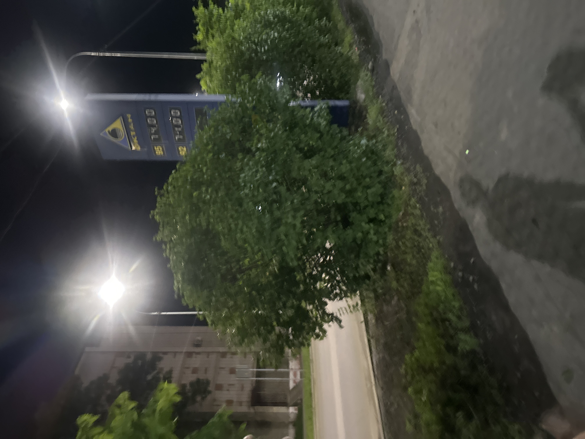 The image is a night-time photograph taken in Birobidzhan, Russia, likely on a street or road. In the foreground, there is a paved area with reflections of streetlights, and a shadow of what appears to be a person is visible. To the left, there is a road with a sidewalk or grassy verge. Beyond that, a multi-story building can be seen.
Dominating the midground is a dense, green bush. To the right of the bush, a tall blue signpost is visible. The signpost displays a triangular logo with a yellow circle inside, and below it, the word "ОКТАН" (OKTAN) in yellow letters. Further down the sign are price indicators: "95 14.00" and "92 13.00". This indicates the sign is likely for a gas station, showing fuel prices.
In the background, a bright streetlight illuminates the scene. The overall impression is that of an urban environment at night, likely near a road and a gas station. The lighting is artificial and creates strong contrasts and reflections.