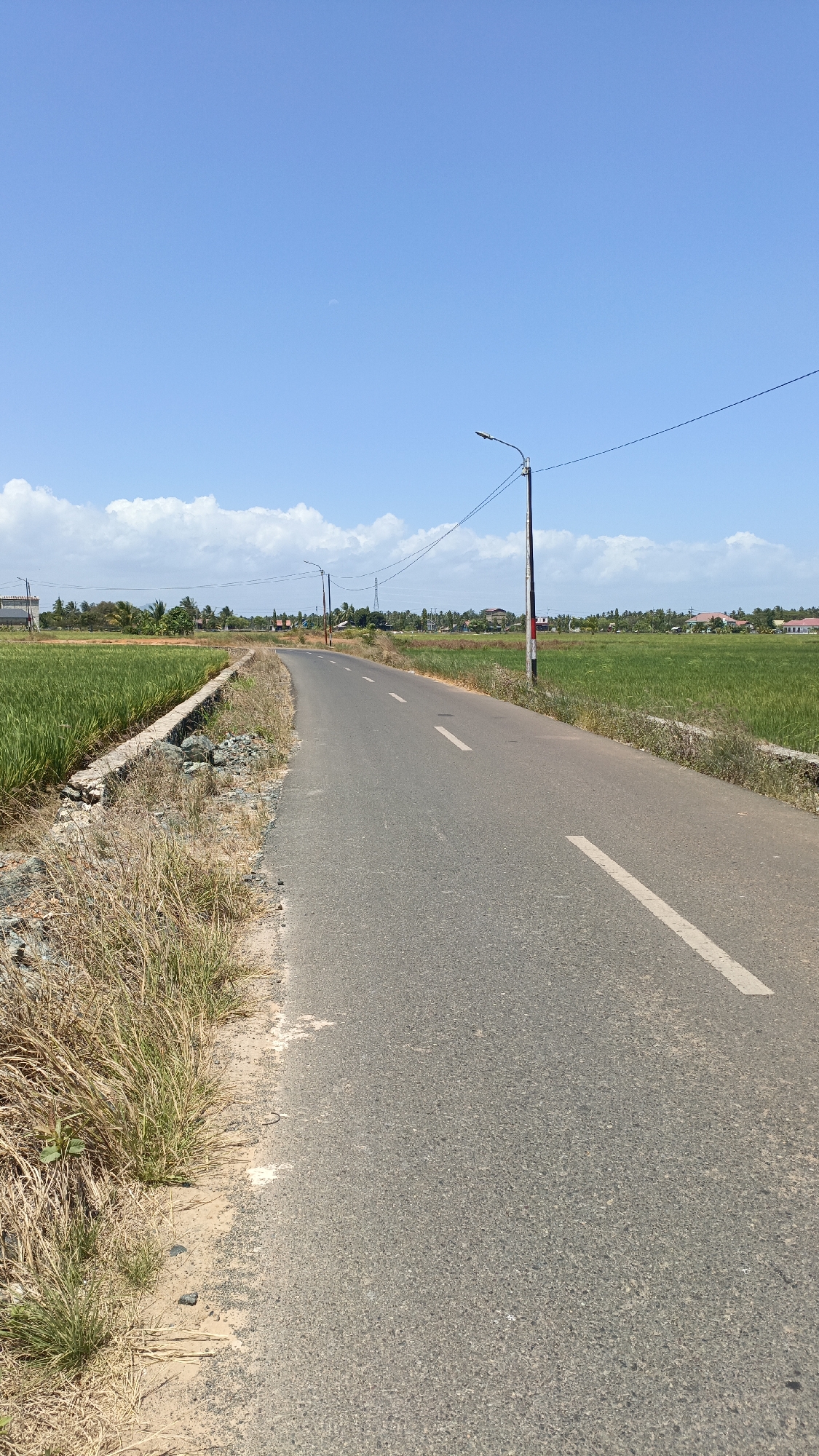 The image depicts a paved road in the city of Batarang, Indonesia, on a clear, sunny day. The road is a two-lane asphalt surface with white dashed lines marking the lanes. On the left side of the road, a dry, grassy embankment slopes down to a field of green crops, likely rice paddies, separated by a low concrete barrier. On the right side, the embankment is also covered with dry grass and sparse vegetation. Utility poles with power lines are visible along both sides of the road, extending into the distance. In the background, more green fields are interspersed with scattered houses and palm trees under a bright blue sky with scattered white clouds. The scene is tranquil and appears to be a rural or semi-rural area on the outskirts of Batarang. There are no people or animals visible in the image. The time of day is indicated by the strong sunlight and the shadows cast.