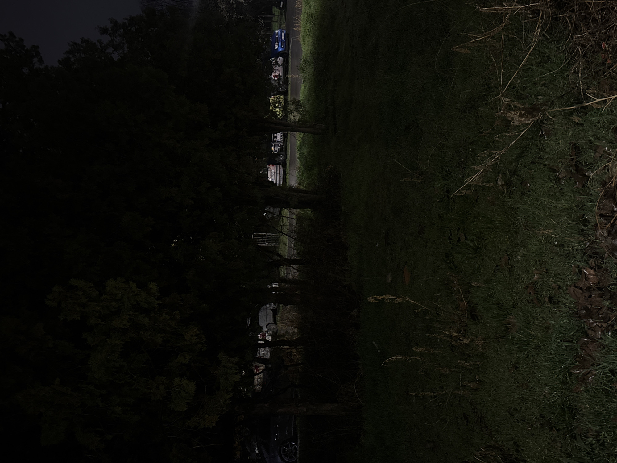 The image depicts a dark, outdoor scene, possibly a park or roadside in Varna, Bulgaria at night. A row of trees lines the left side of the frame, obscuring a street with parked vehicles. A grassy area occupies the right side, with some dry vegetation and fallen leaves visible. Streetlights provide minimal illumination, but many parts are dark.