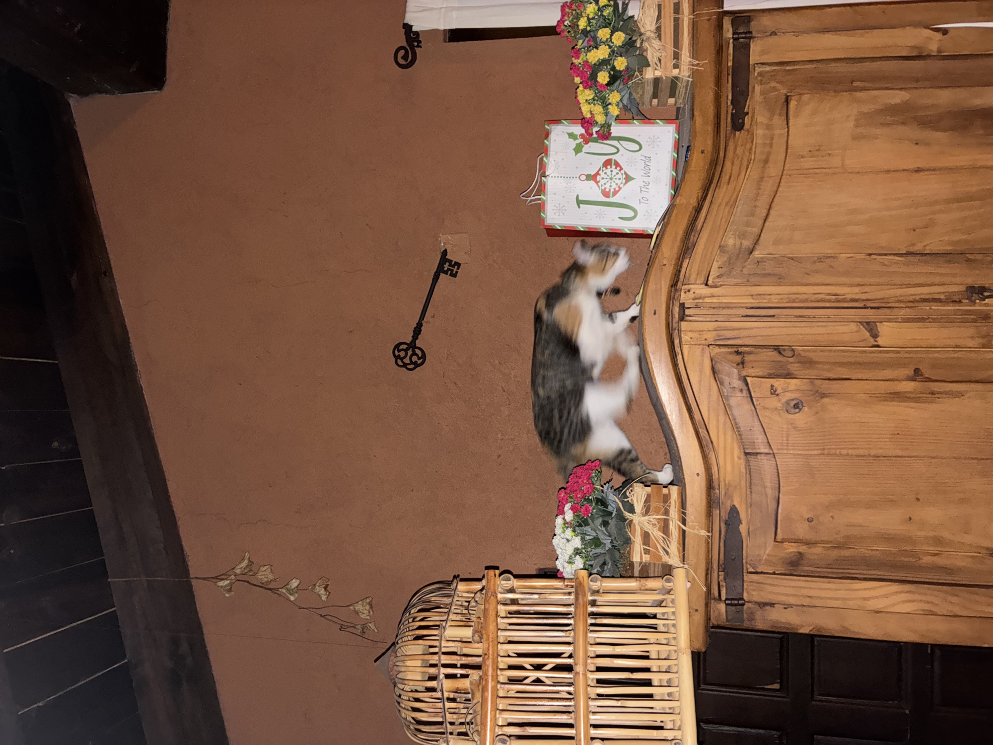 A calico cat is jumping onto a wooden cabinet. The cat is oriented vertically with its front paws reaching the top of the cabinet. The cabinet is ornate and made of dark-stained wood. To the left of the cabinet is a rust-colored wall, on which hangs a metal key and a "Joy to the World" holiday sign. Above the cat, on top of the cabinet, there is a floral arrangement. Below the cat, there is a flower arrangement on top of a bamboo basket. The left side of the photo shows a portion of a dark-stained, wooden beamed wall. A dried floral arrangement is on the left side of the wall. The location is in Cañada de Madero, Mexico.