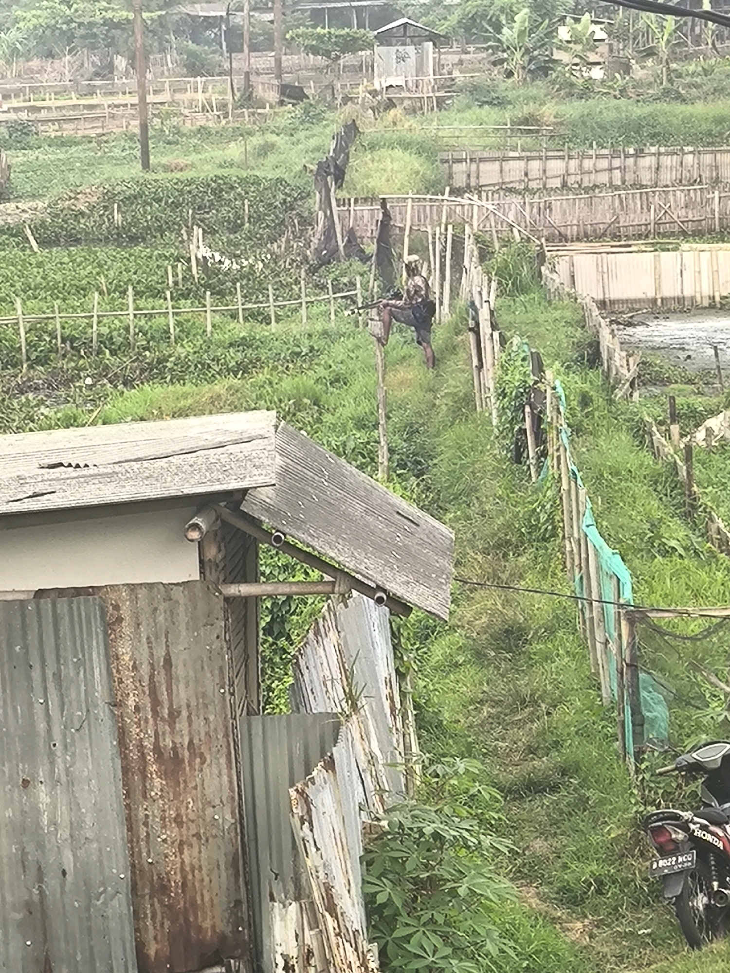 In a rural or semi-rural area of South Tangerang, Indonesia, a person is visible standing with a rifle in a grassy field. The person is wearing camouflage clothing and dark shorts, with one leg propped on a wooden post. The environment features a mix of cultivated land, lush green vegetation, and rustic structures made of wood and corrugated metal. A path or walkway runs through the grassy area, bordered by wooden fences and some green netting. In the foreground, a part of a dilapidated structure, possibly a shed or dwelling, constructed from weathered corrugated metal, is visible. Further back, more bamboo fences and vegetation are apparent, along with what appears to be a muddy or watery area on the right side of the image. In the bottom right corner, a motorcycle, a Honda, is parked. The overall scene suggests an outdoor, possibly agricultural or undeveloped, setting with elements of human habitation and activity.