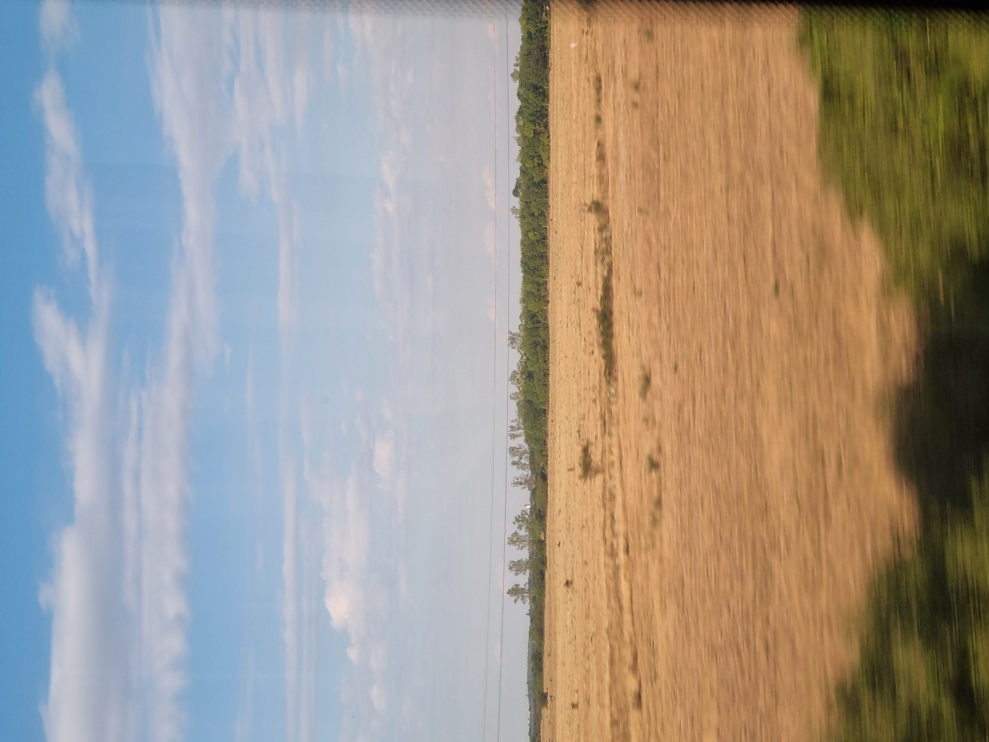 This image depicts a rural landscape, likely taken from a moving vehicle, given the motion blur present in the foreground and parts of the midground. The sky is a clear blue with scattered white clouds. Below the sky, a line of trees forms a distant treeline, with some taller, slender trees standing out in the middle distance. A thin power line stretches horizontally across the scene above the treeline. The midground consists of a vast, dry, golden-brown field, with sparse, low-lying vegetation scattered across it. In the foreground, a blurred mass of dark green foliage suggests bushes or low trees. The image is devoid of any people or explicit human activity. The overall impression is one of a dry, open rural setting in Hungary, possibly near Mezőpeterd, given the context provided.