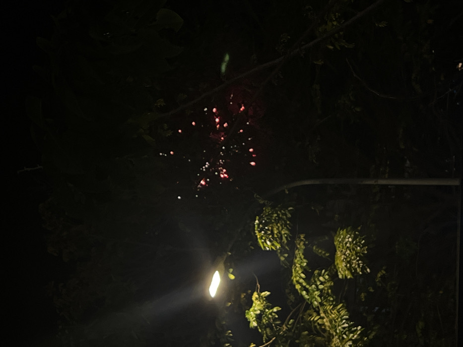 Night shot shows illuminated red and white fireworks exploding in the dark sky. A street light shines brightly in the lower center. Below it, foliage and branches are partially visible. The top of the frame is filled with shadowy branches and leaves, adding to the nighttime atmosphere. A gray lamppost runs through the middle right of the frame.