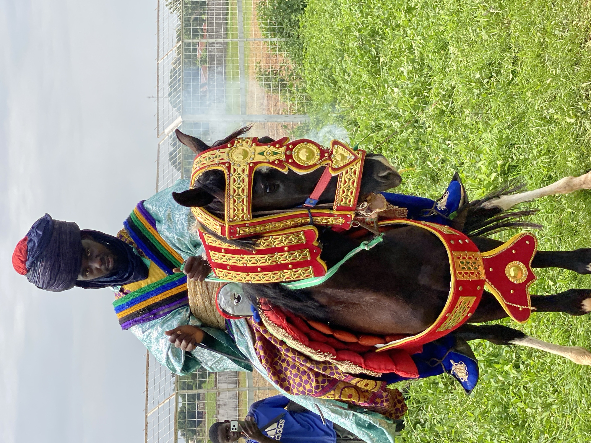 A man wearing traditional clothing and a turban is riding a horse in Kafanchan A, Nigeria. The horse is adorned with elaborate, colorful decorations. A person is filming the scene with a smartphone. The environment consists of grass and a metal fence. Smoke is visible in the background.
