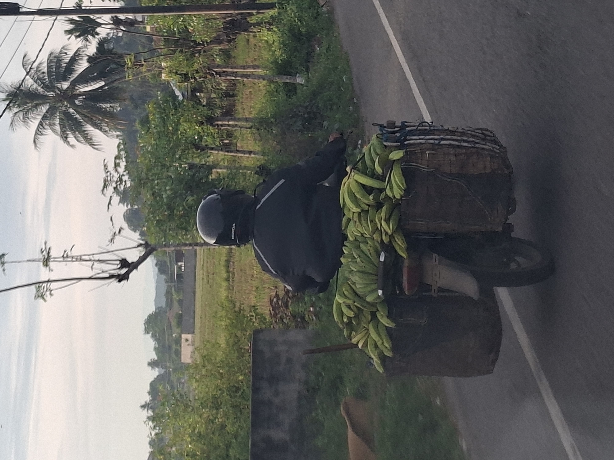 A person wearing a black jacket and helmet rides a motorcycle laden with a large quantity of green bananas. The bananas are packed in two large woven baskets attached to the rear of the motorcycle. The rider is facing away from the camera, obscuring their identity. The motorcycle is traveling on a paved road, which appears to be a rural area given the presence of fields, trees, and a distant palm tree. The sky is overcast. The scene is set in Mee Pangwa, Indonesia, as indicated by the provided location information.