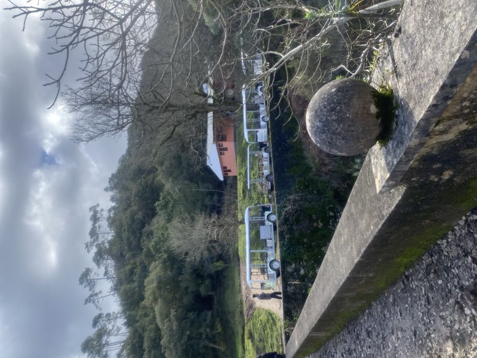 The image displays an outdoor natural scene in Mafra, Portugal, viewed under an overcast sky. In the immediate foreground, a grey concrete barrier or bridge parapet, partially covered with green moss, extends diagonally from the lower left to the middle right. A spherical, moss-accented stone ornament rests on a wider section of this parapet on the right. Below the barrier, dense, dark green foliage is visible.
A dirt path, elevated above the foreground structure, traverses the midground. Lined up along this path are five white, open-sided electric tour vehicles, each featuring multiple rows of seats; the second vehicle from the left exhibits camouflage-patterned seating. A male individual, dressed in dark clothing, is walking from left to right on this path, positioned between the path's edge and the first vehicle. A partially visible figure is present on the far left of the path.
Further up the rising terrain, an orange-colored building with a grey roof and dark-framed windows is situated amidst a mix of bare deciduous trees and various evergreen trees. The background is dominated by a steep, densely forested hillside composed primarily of evergreen trees, with a distinctive line of taller pine trees visible along the upper ridge. The sky overhead is heavily clouded, with some brighter patches indicating breaks in the cloud cover.