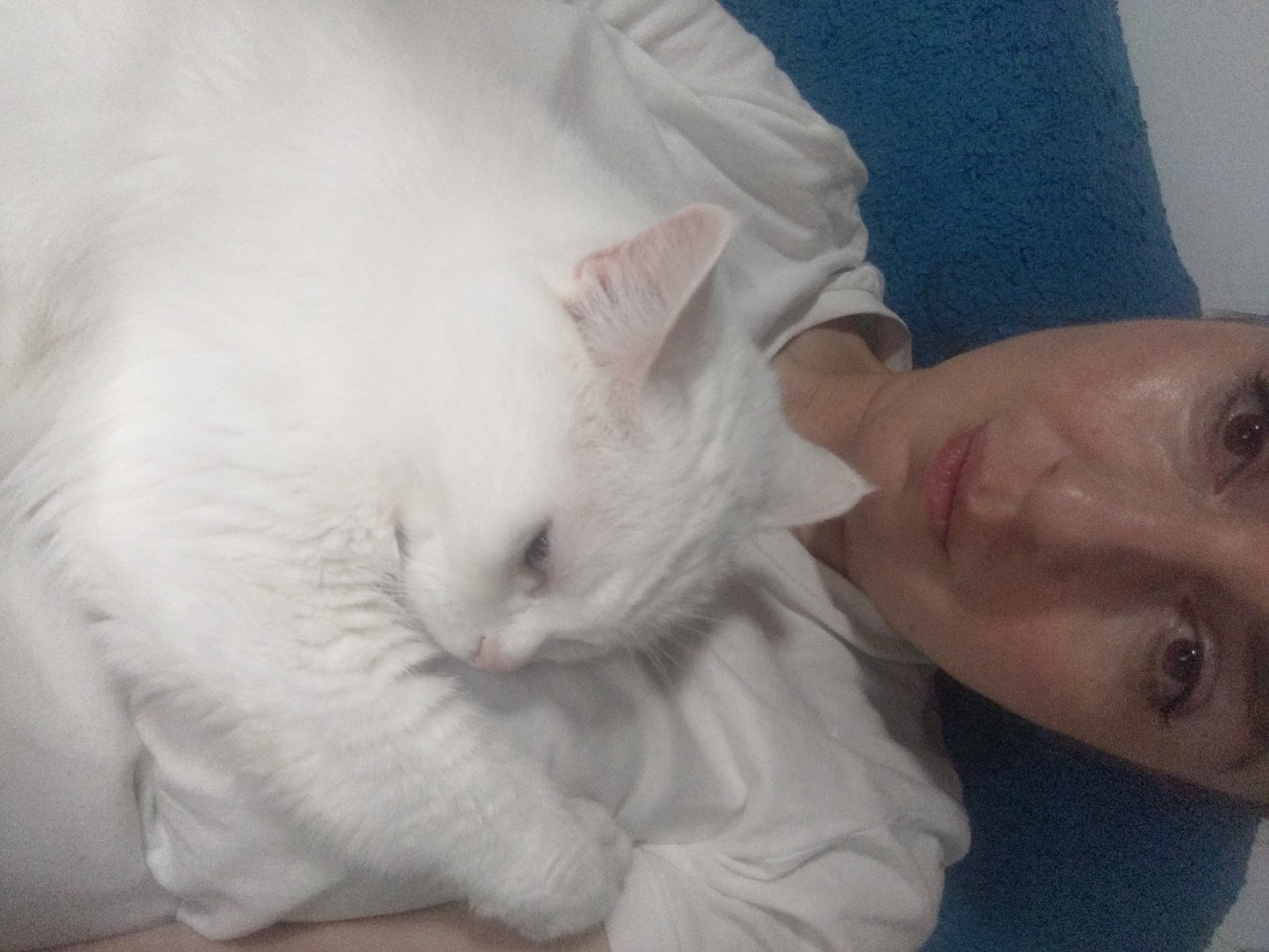 The image shows a close-up, overhead view of a person holding a white cat. The person is wearing a white t-shirt and their face is partially visible in the upper right corner. The cat is predominantly white with some light grey markings around its eyes and ears, and it is resting on the person's chest. The cat appears to be asleep or relaxed, with its eyes closed and its head resting on the person's arm. The background consists of a blue textured surface, possibly a blanket or pillow. The image has a grainy quality, suggesting it was taken with a mobile phone camera in low light conditions. The location is not specified in the image or the provided crops, therefore it is not possible to determine if the scene is in Kyiv, Ukraine.